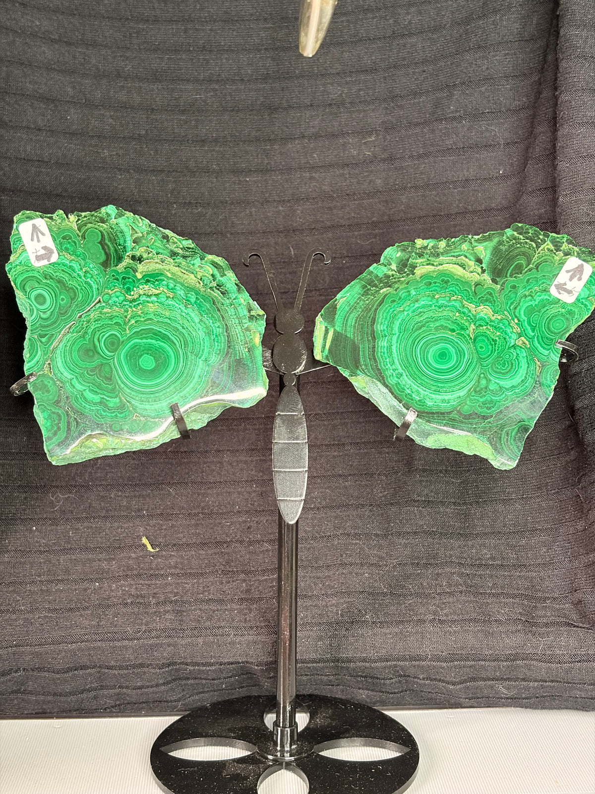 Custom Malachite Butterfly Wings on Stand