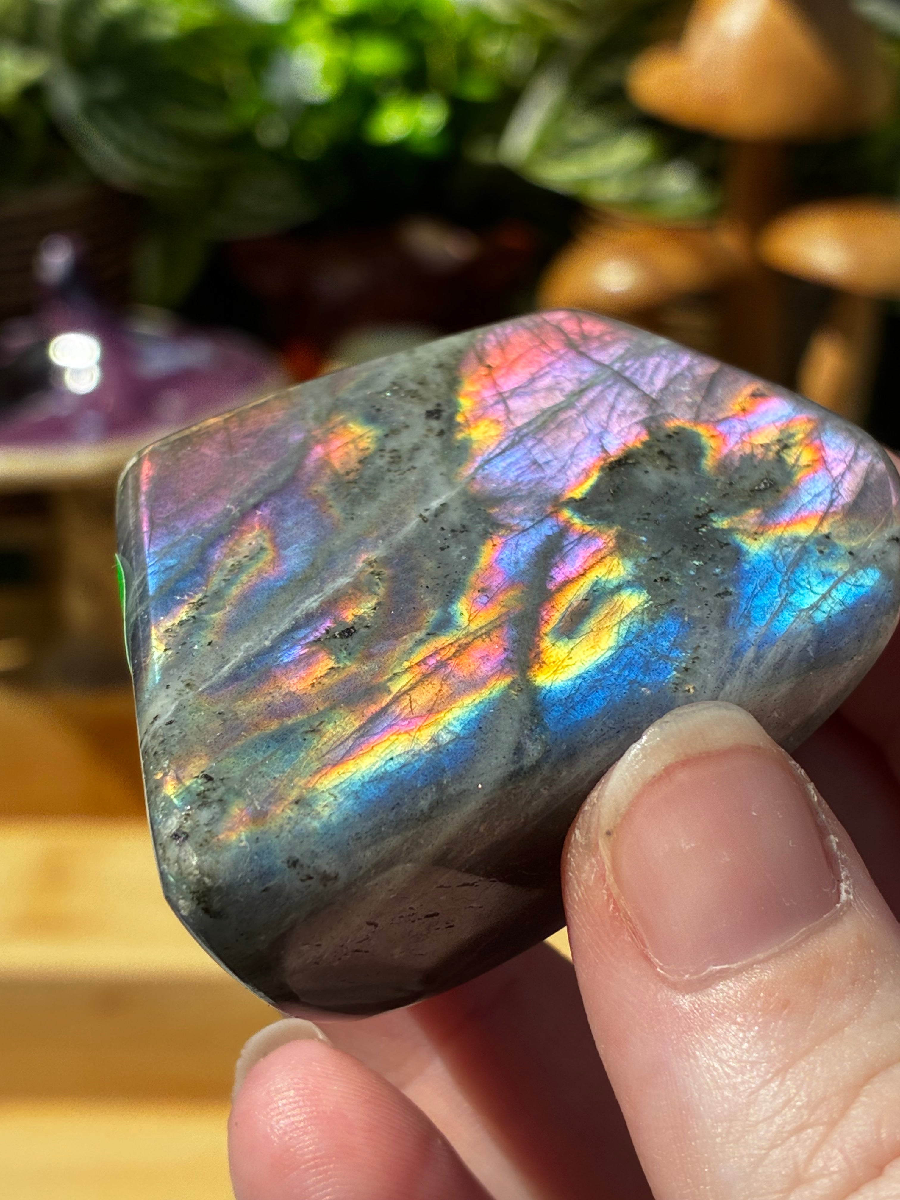 Labradorite Freeform 5