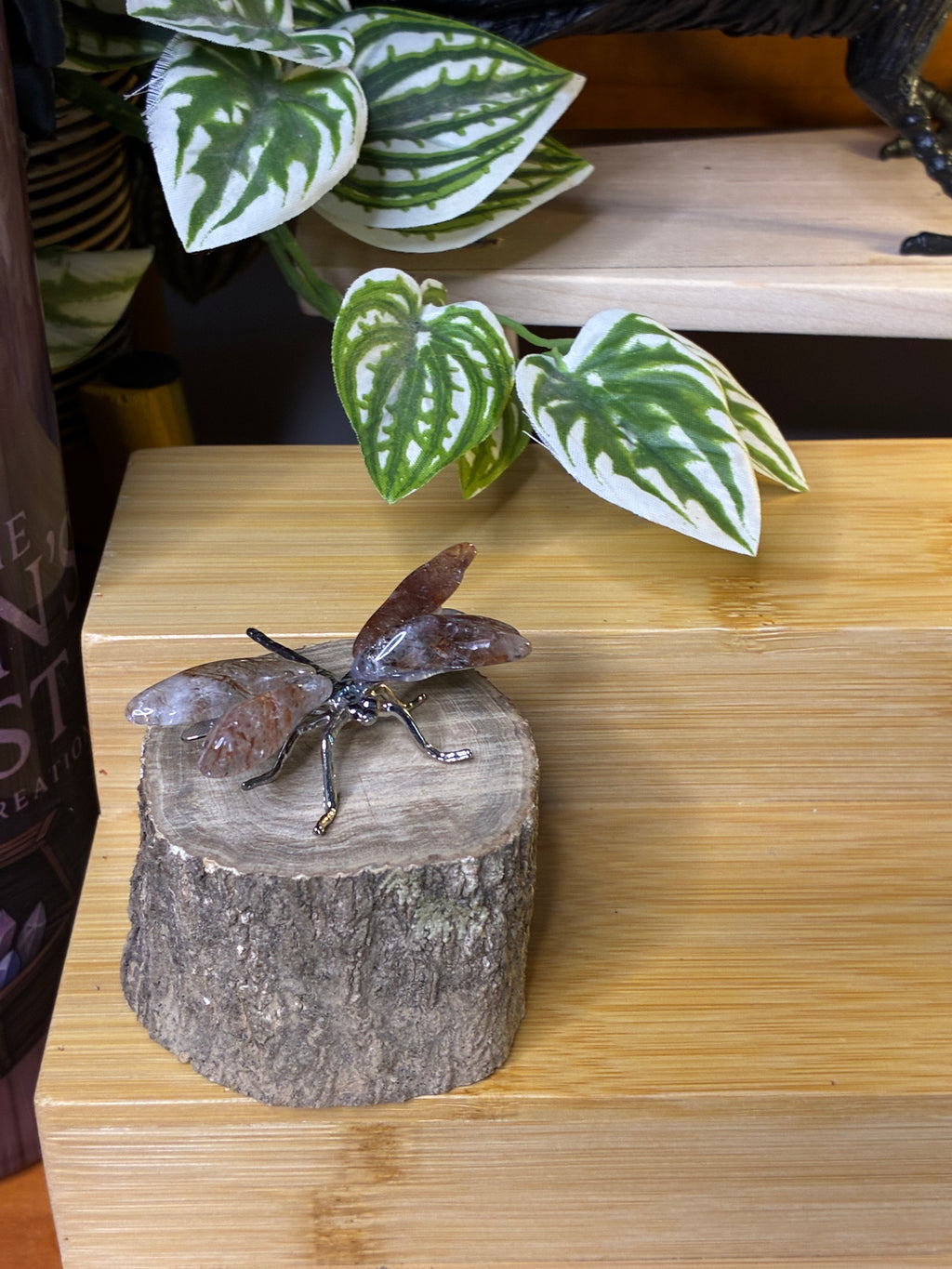 Copper Rutile Dragonfly 2