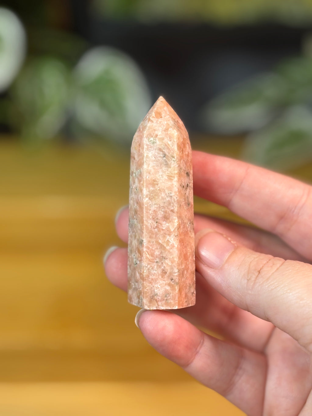 Sunstone Point 2