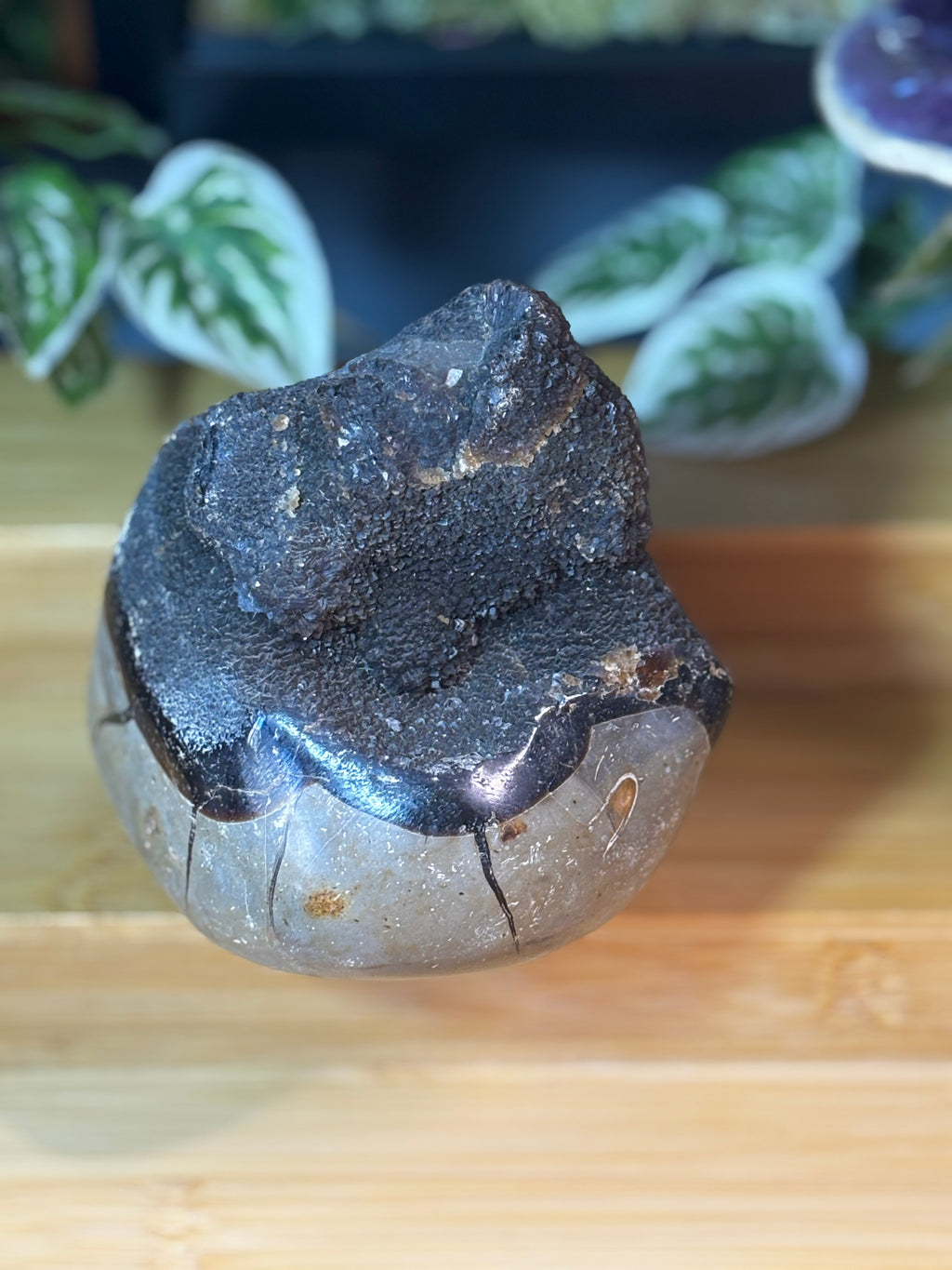 Septarian Freeform