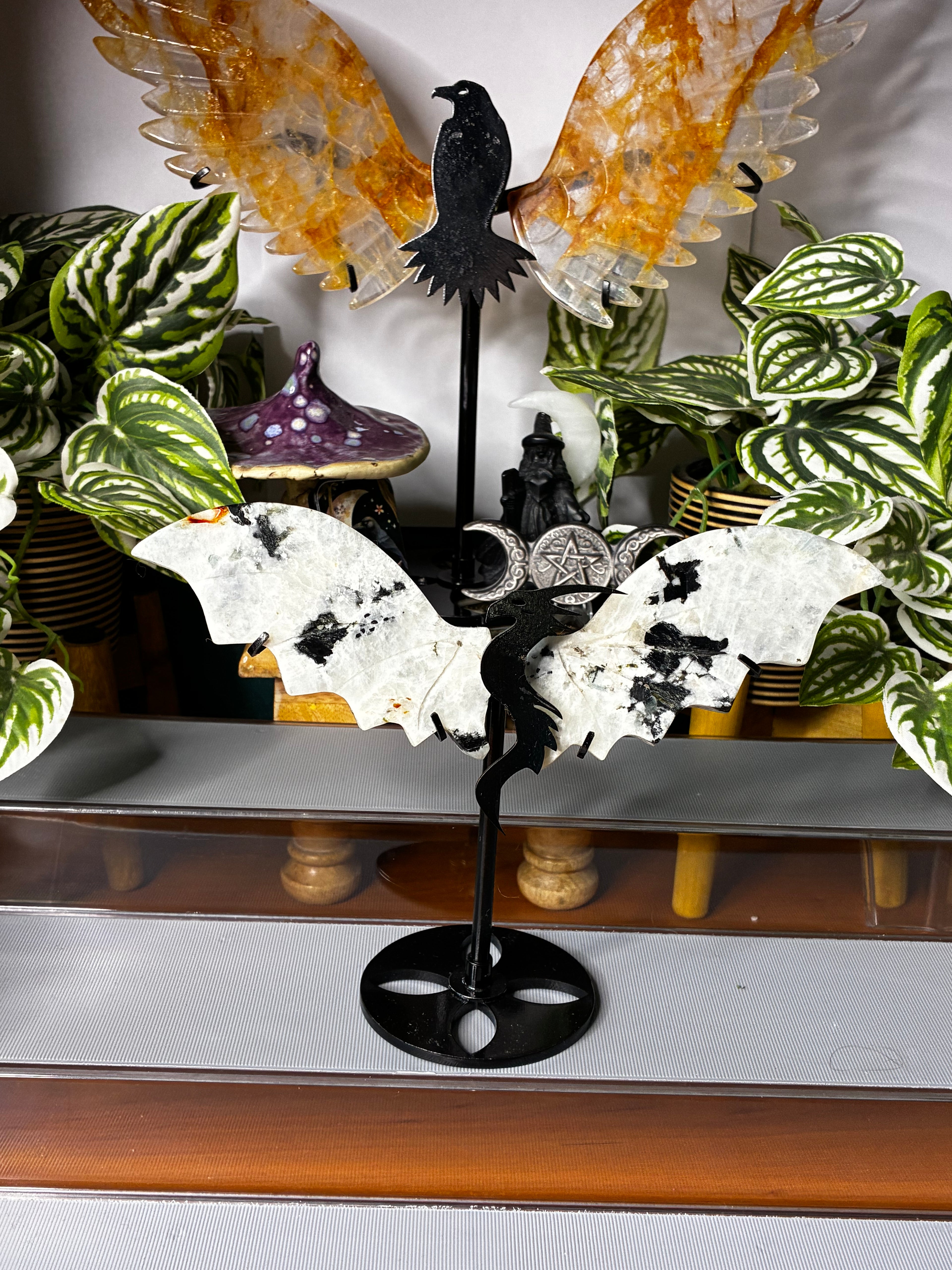 Rainbow Moonstone with Black Tourmaline Dragon Wings on Display Stand
