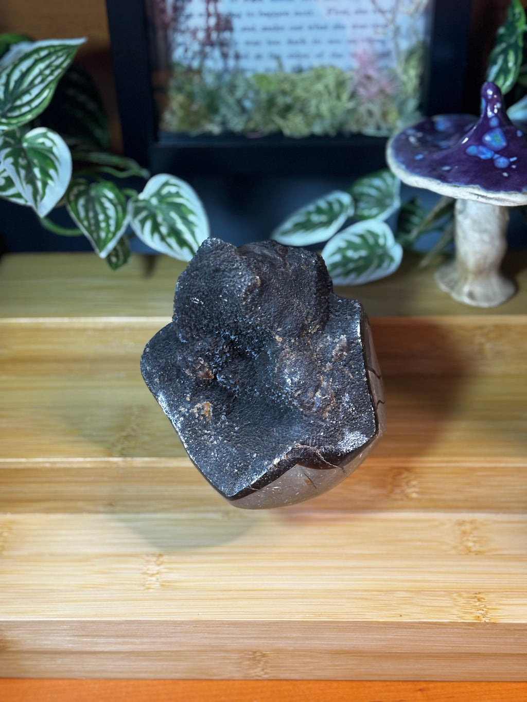 Septarian Freeform