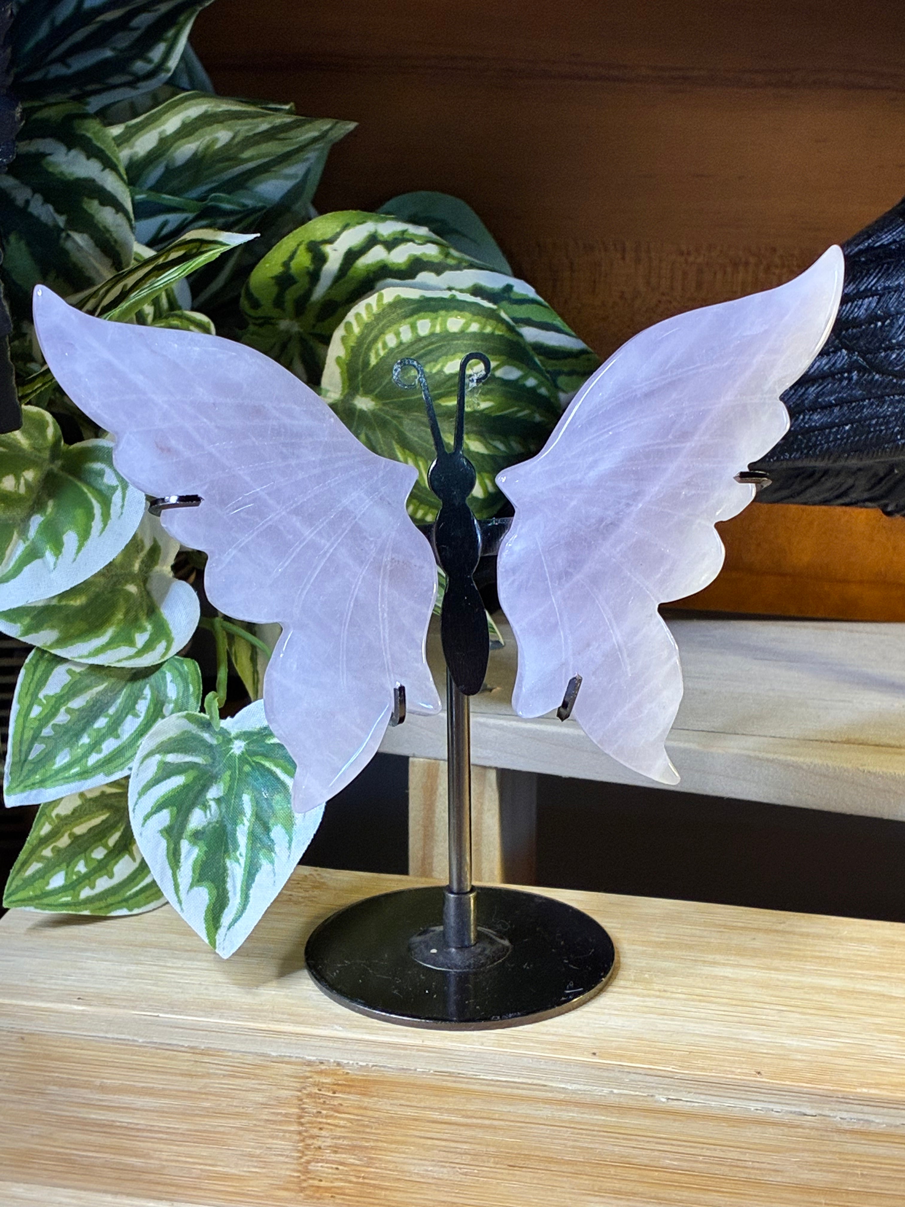 Rose Quartz Butterfly Wings