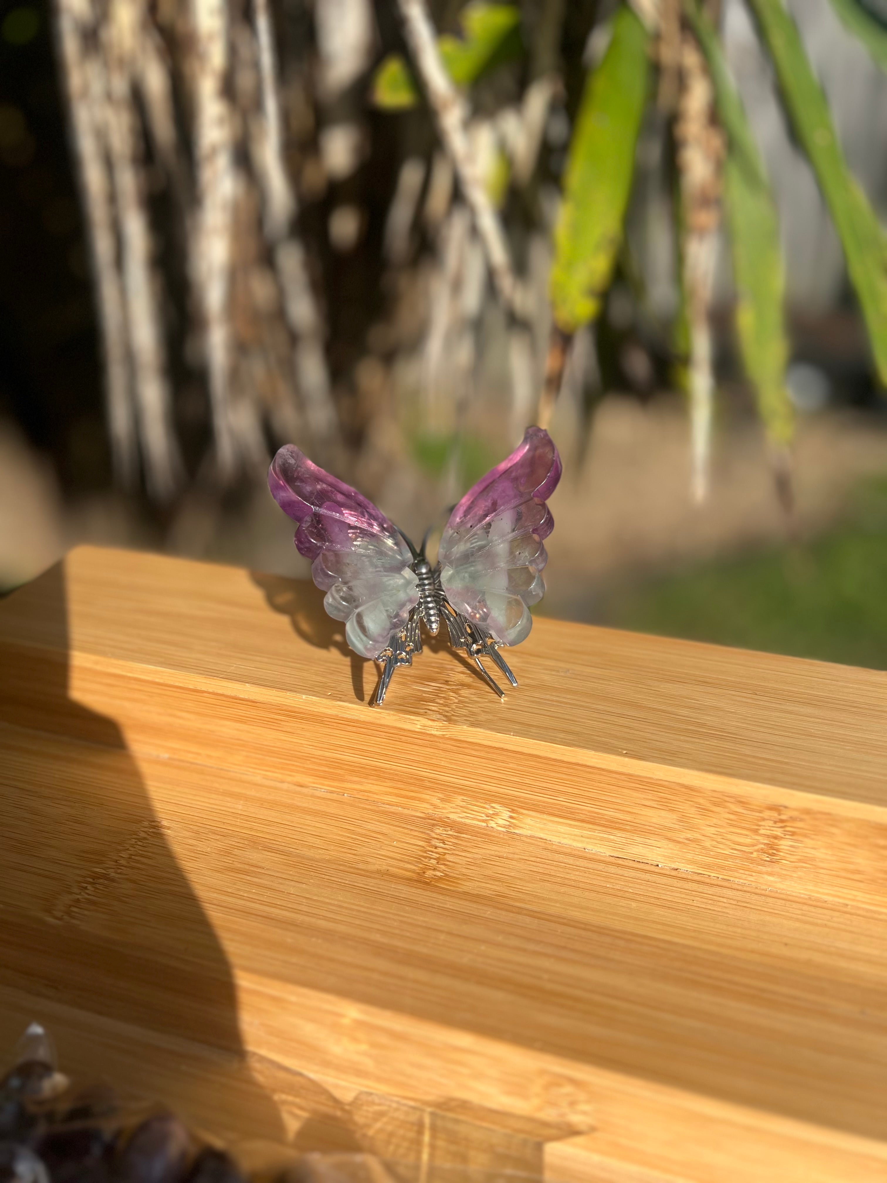 Fluorite Butterfly 3