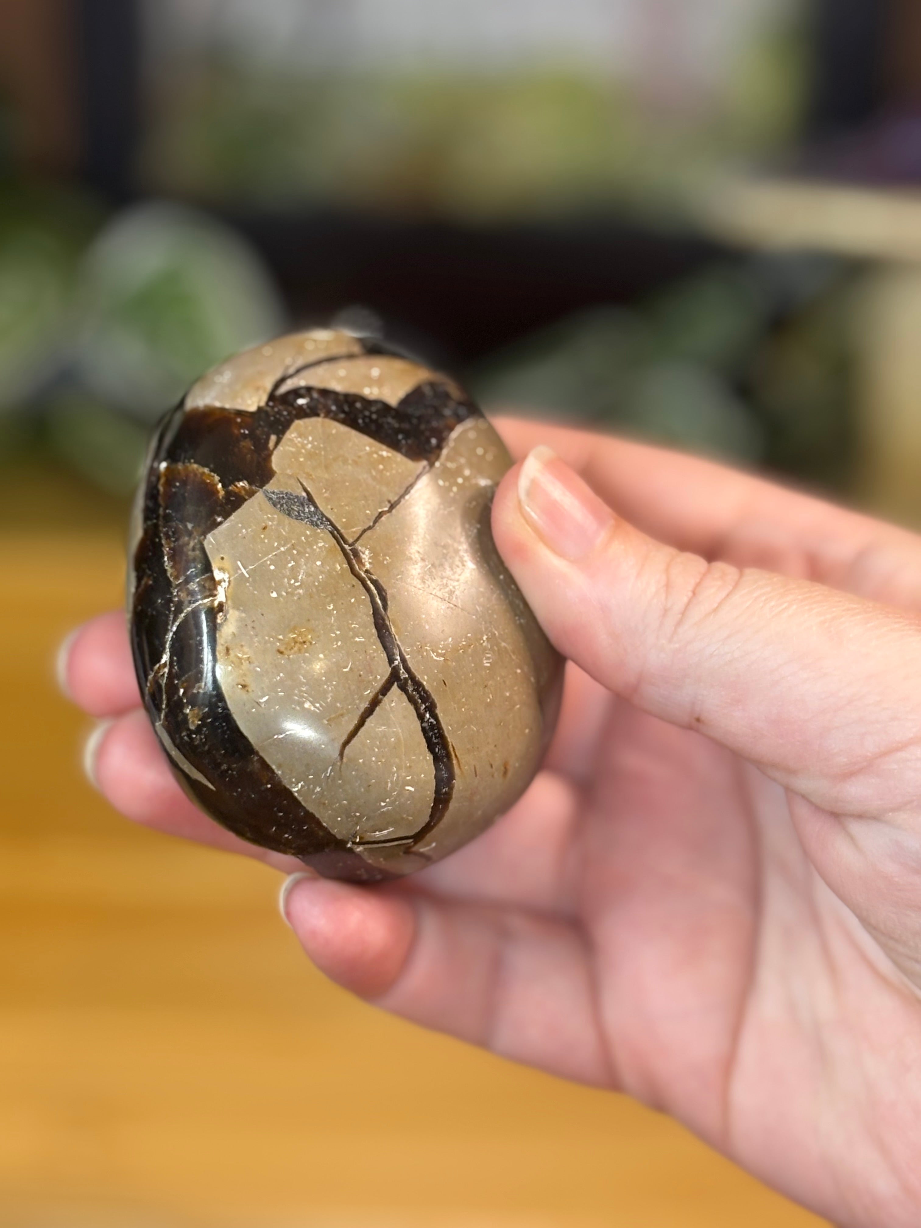 Septarian Egg