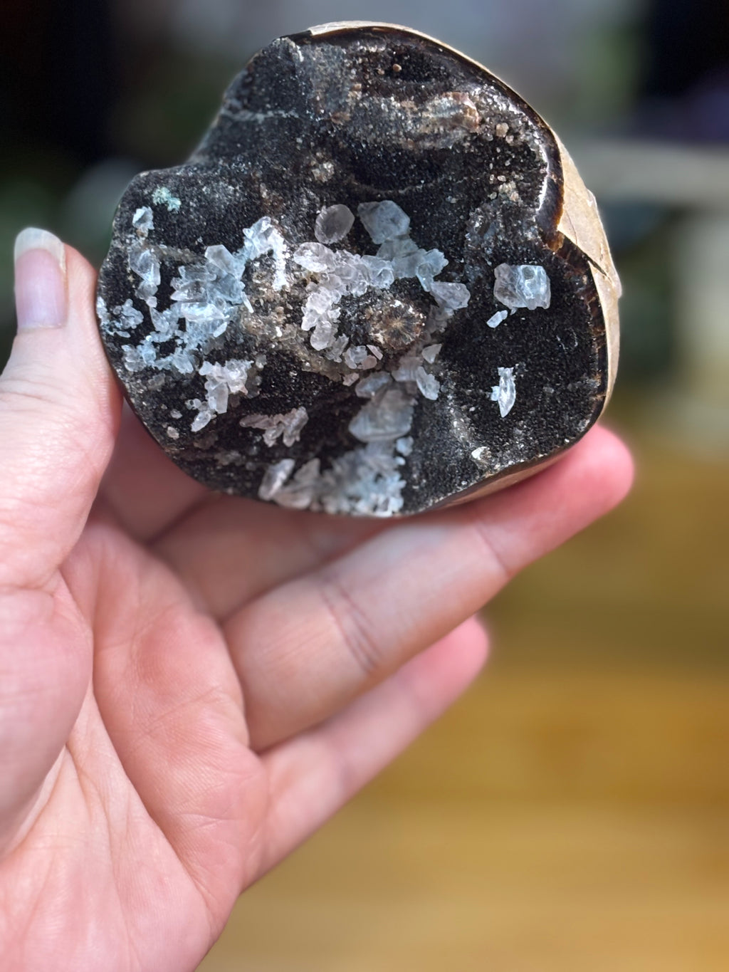 Septarian Egg w/calcite