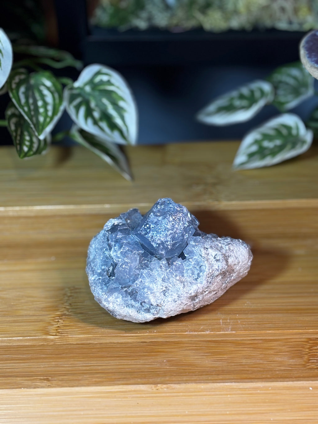 Celestite Cluster 5