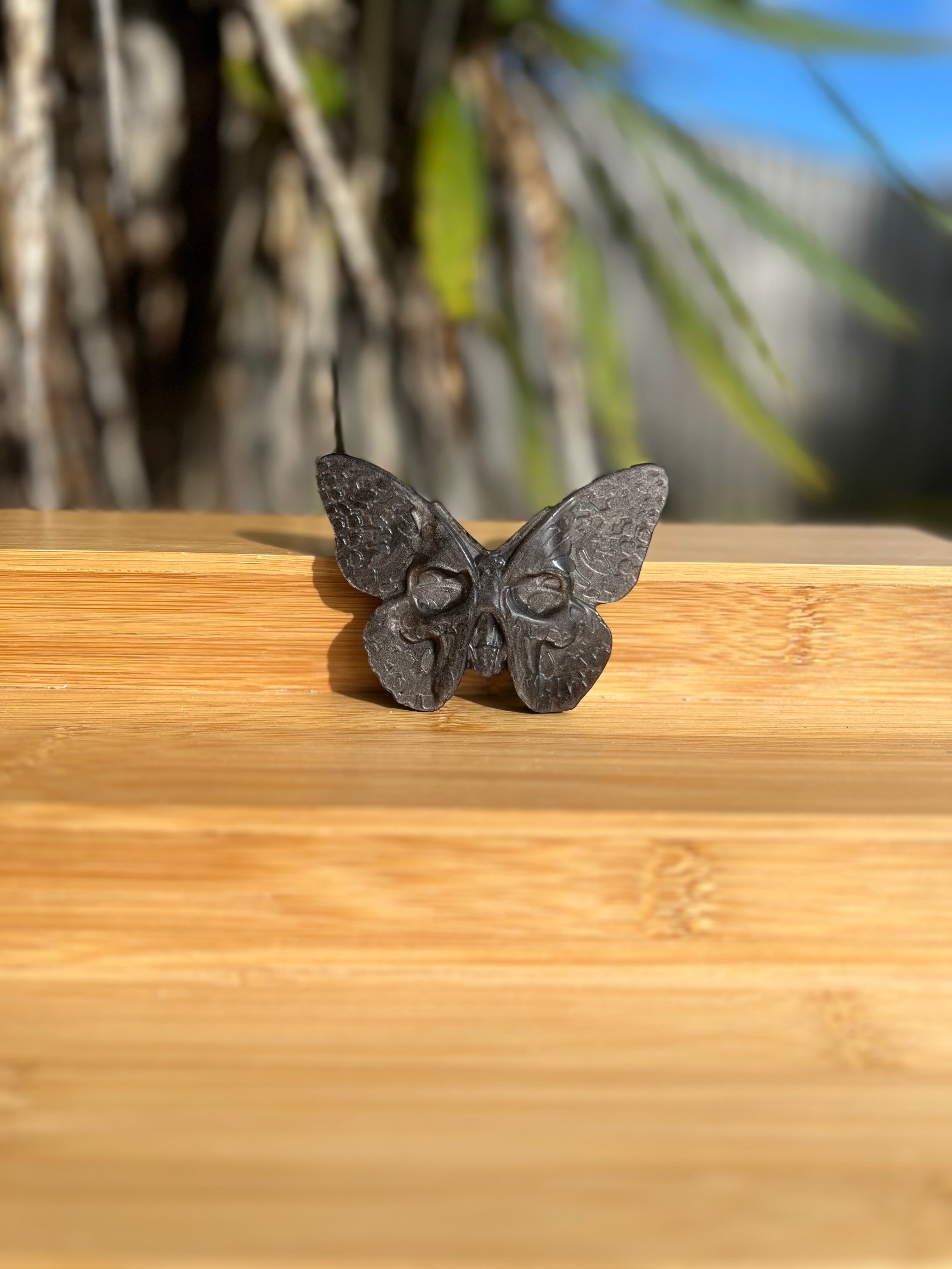 Silver Sheen Obsidian Death Head Moth 2