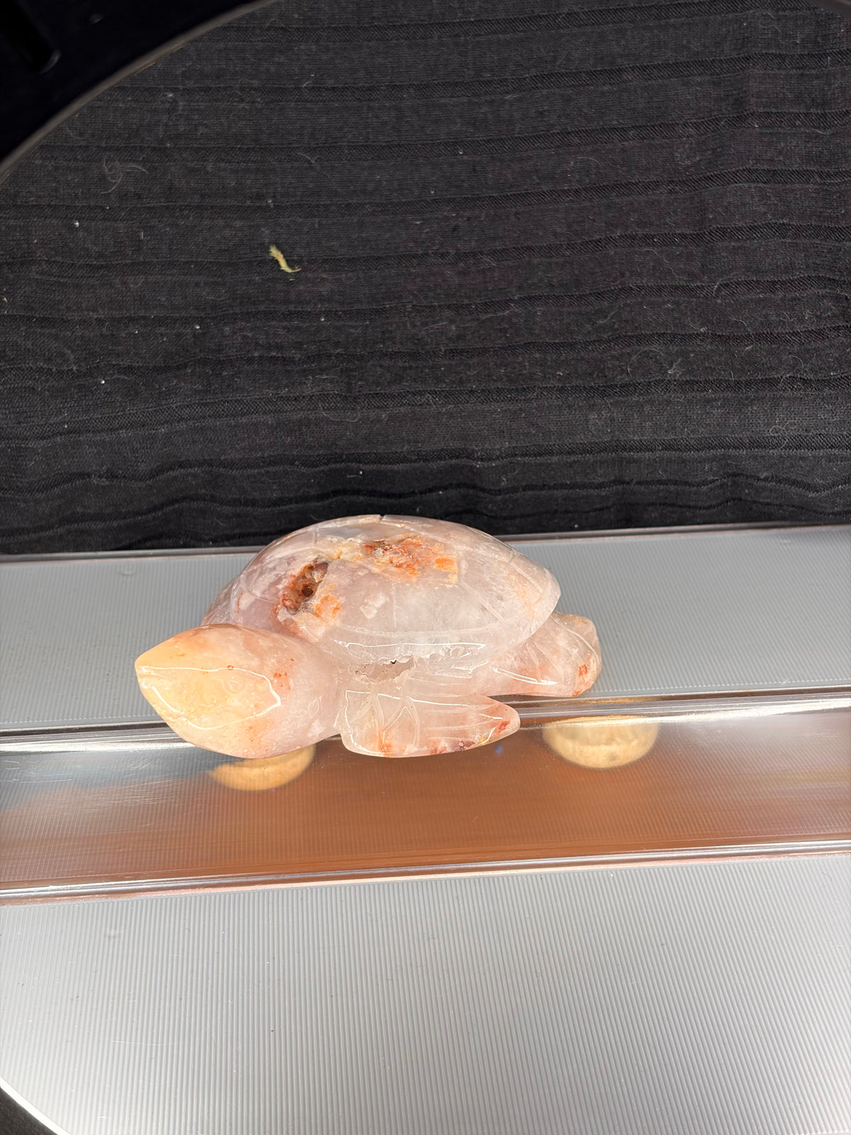 Flower Agate Turtle