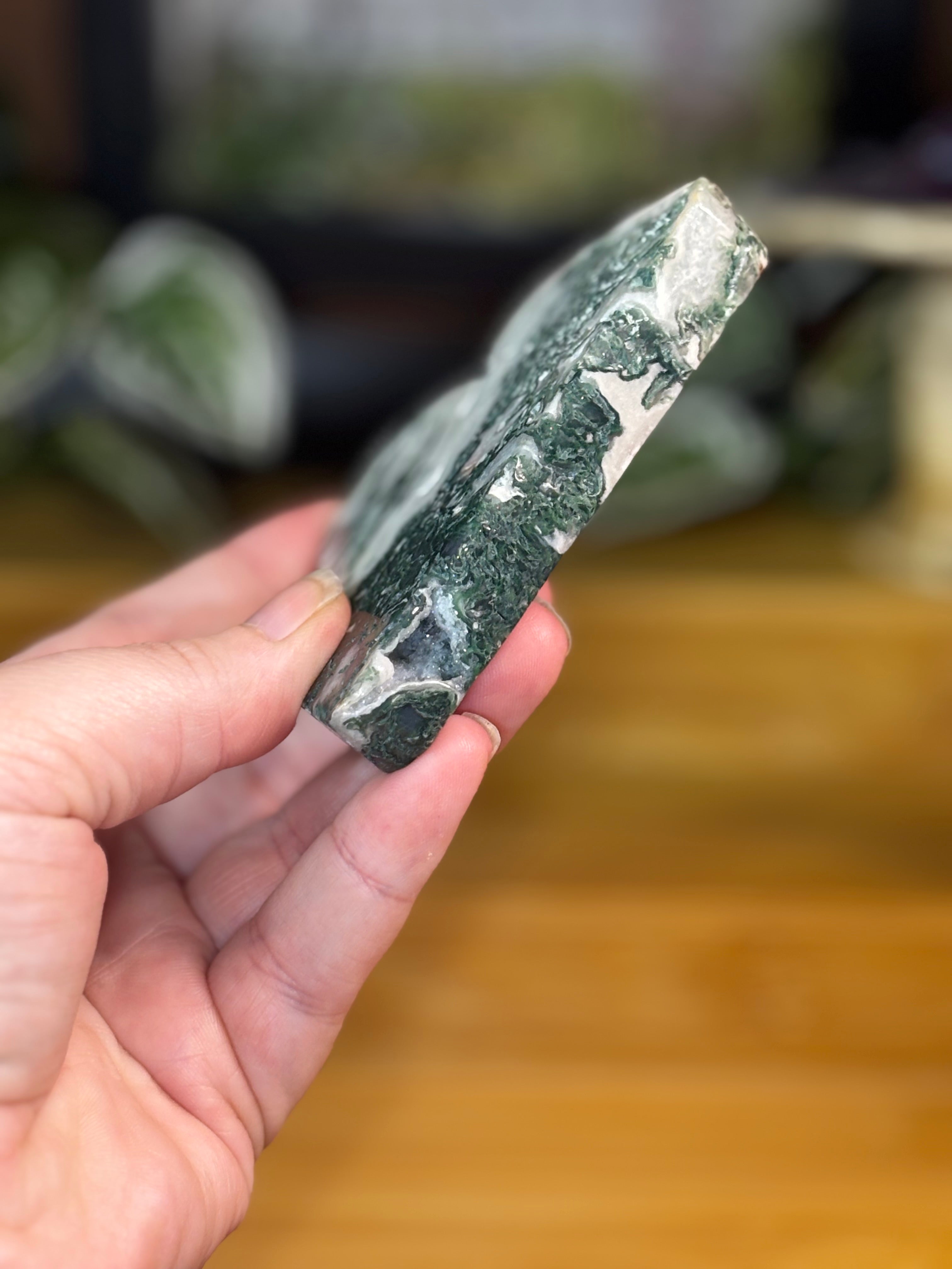 Tree Agate Freeform