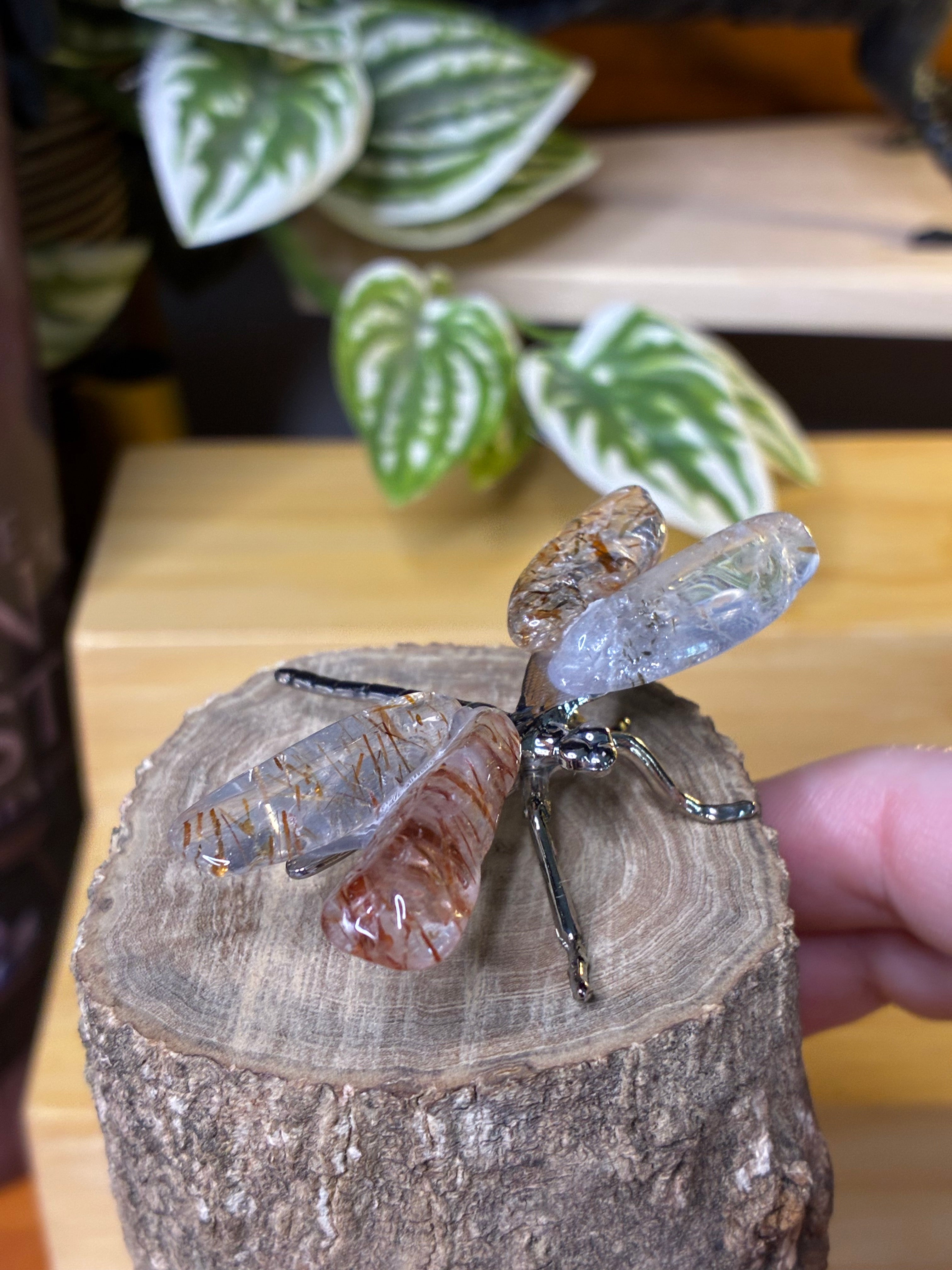 Copper Rutile Dragonfly 3