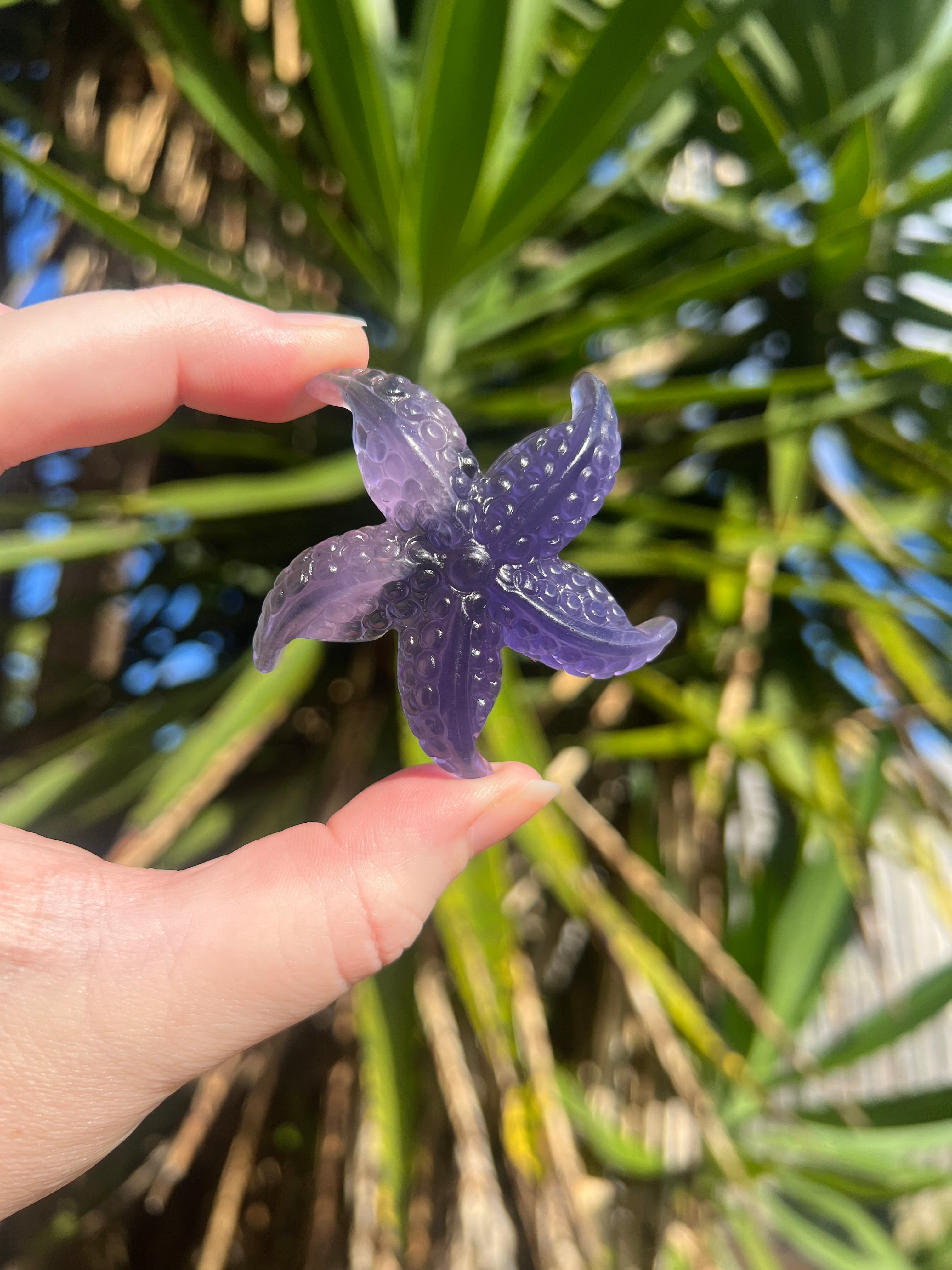 Fluorite Starfish 2