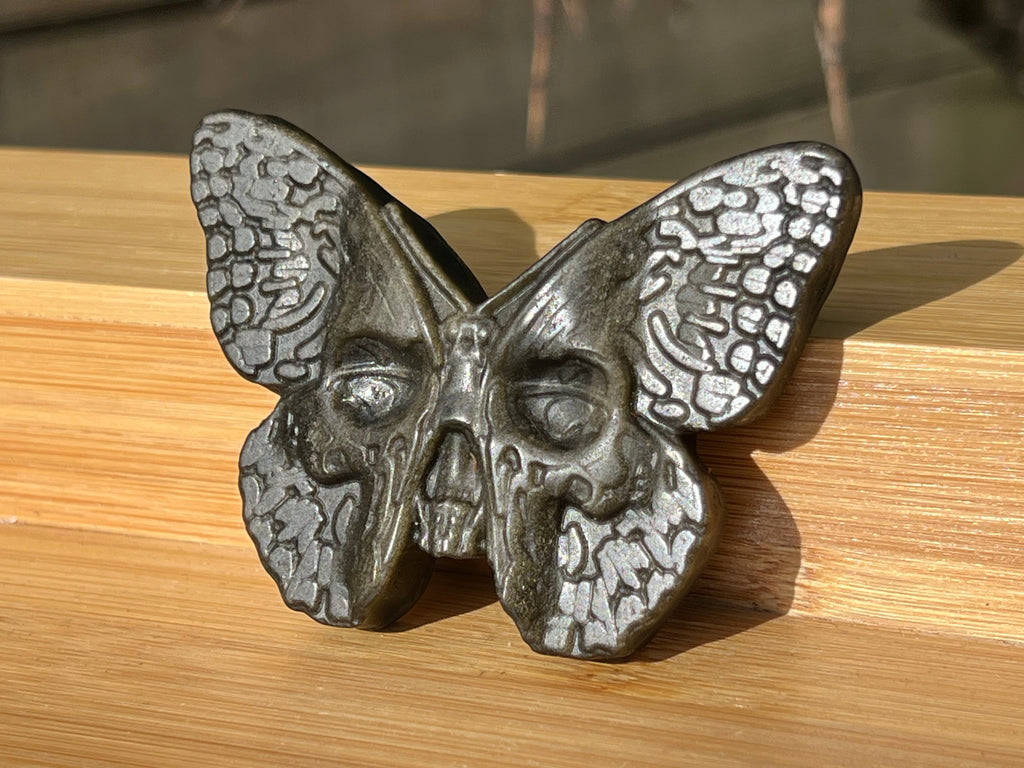 Gold Sheen Obsidian Death Head Moth