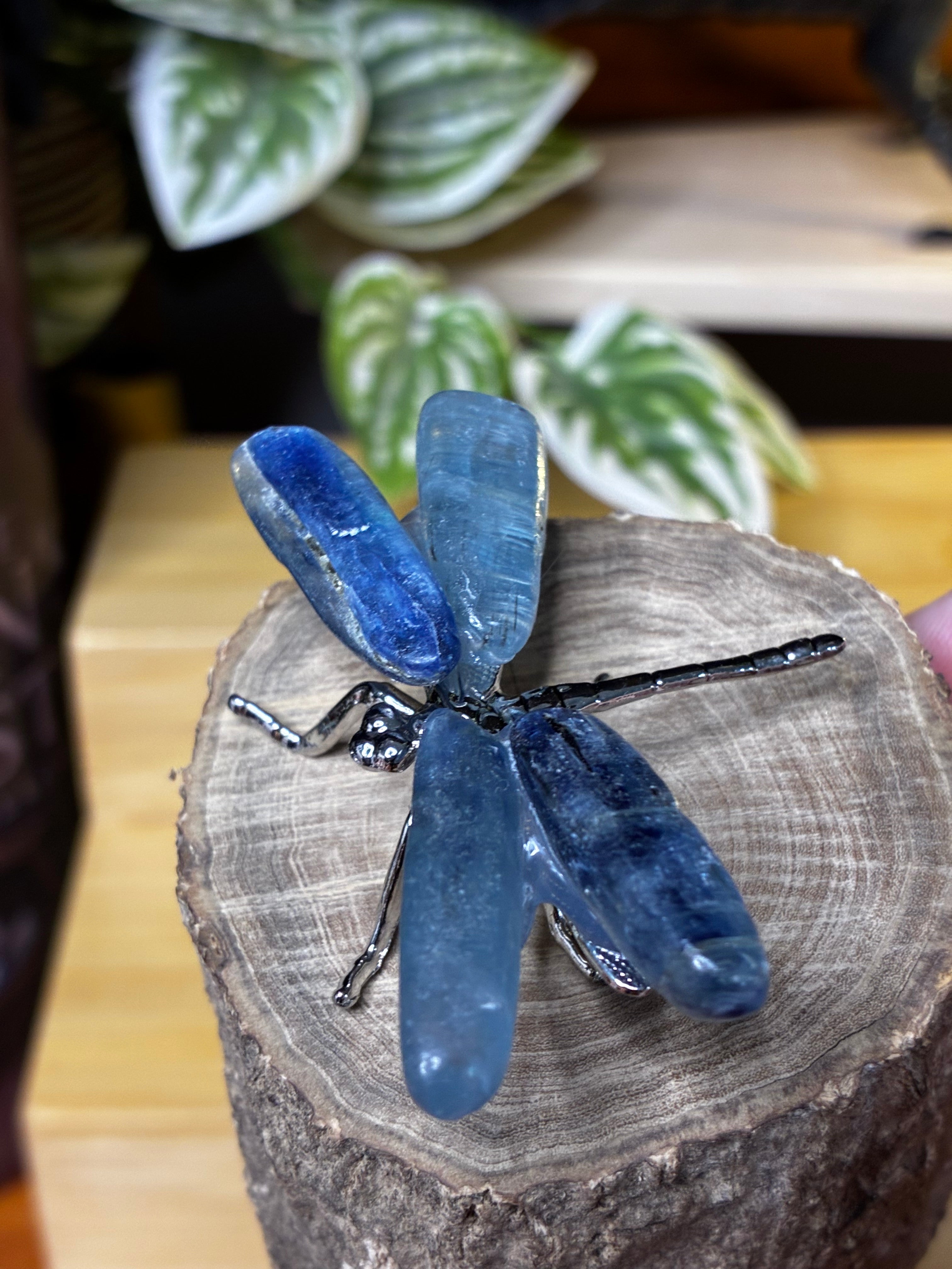 Kyanite Dragonfly