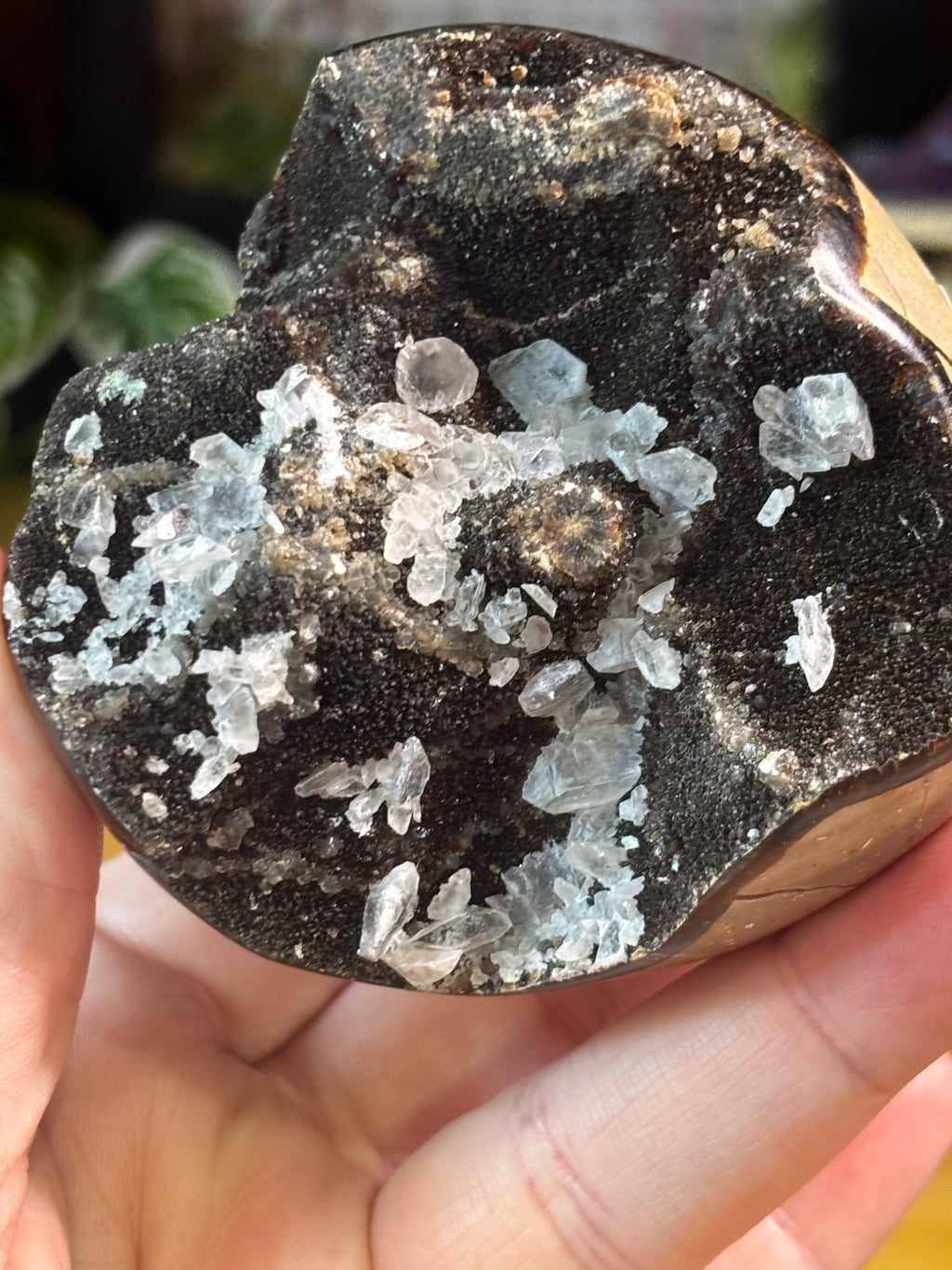 Septarian Egg w/calcite