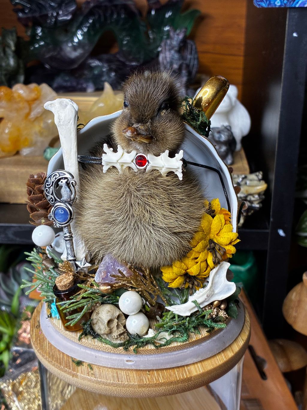 The Forager of Forgotten Things
