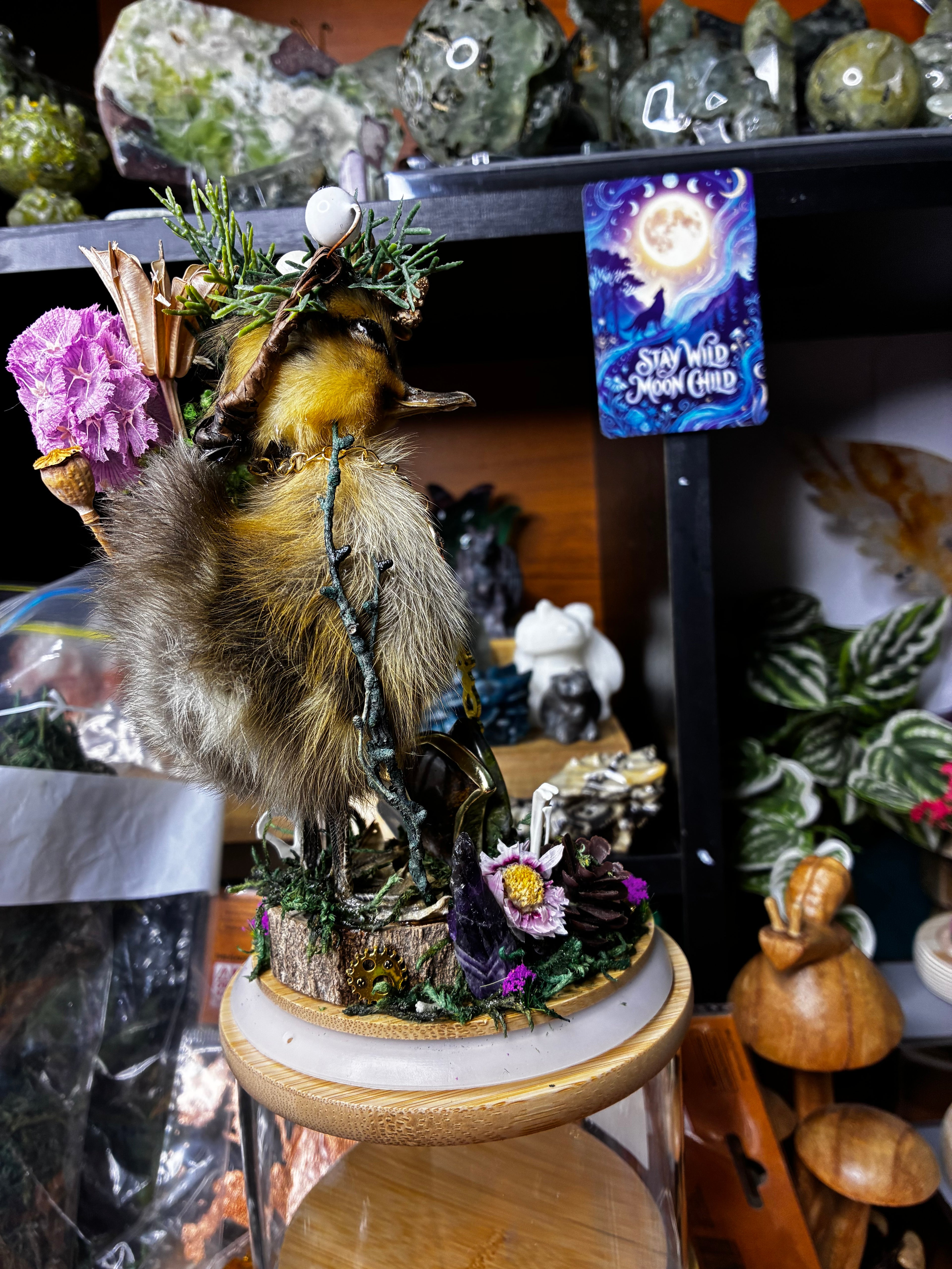 ✨The Keeper of Forgotten Paths✨