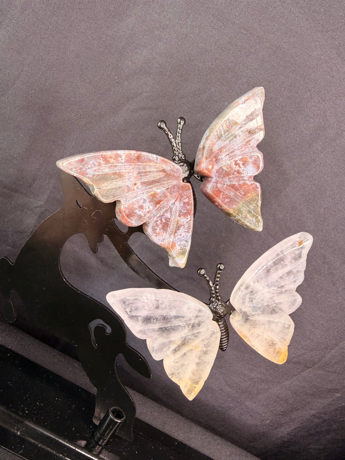 Butterfly Deer Duo 1