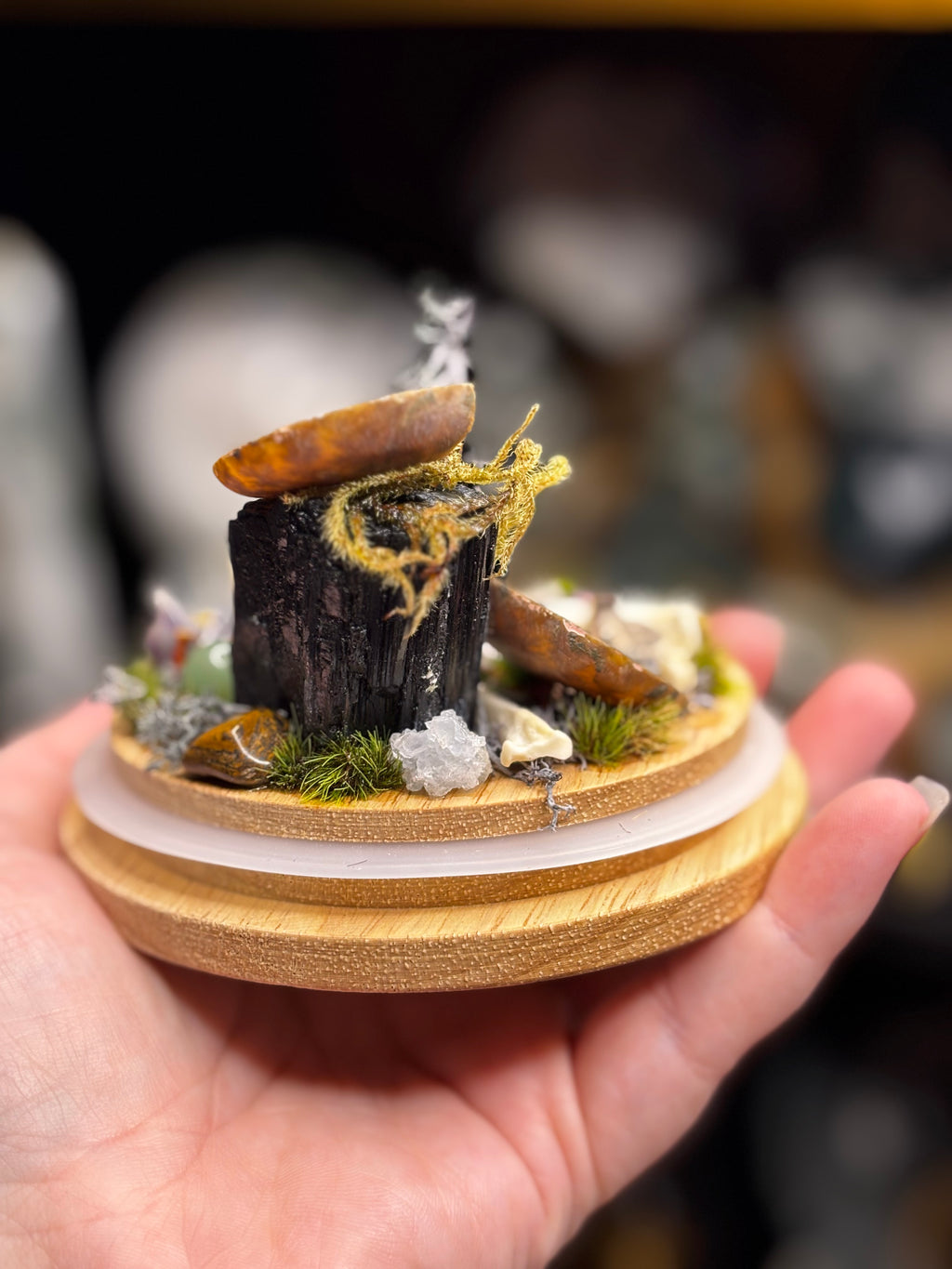 Ancient Debris Curio Dome