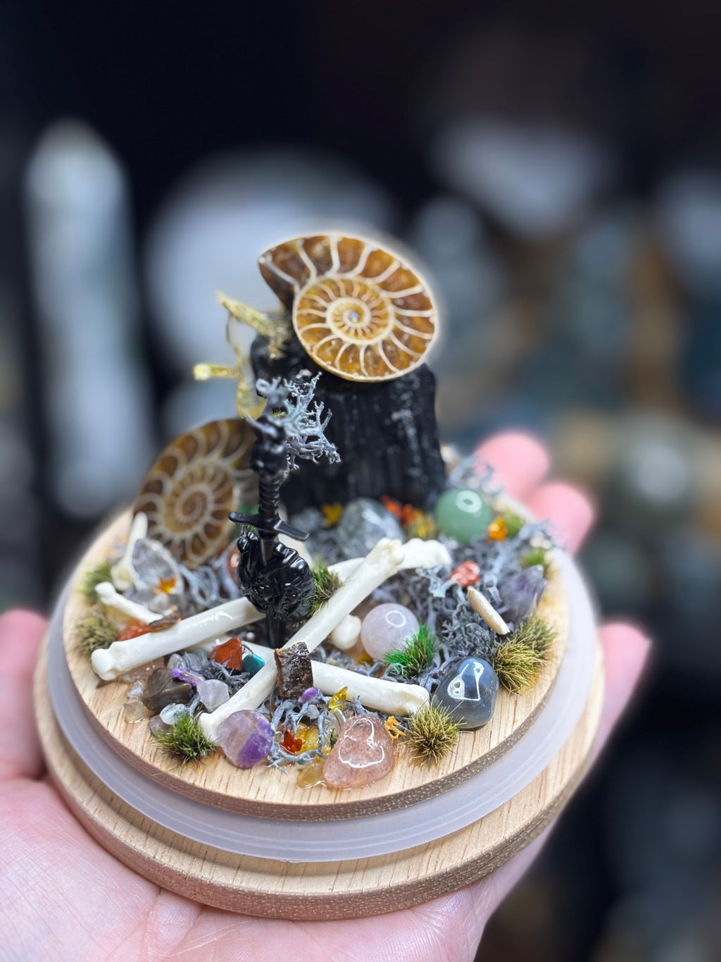Ancient Debris Curio Dome