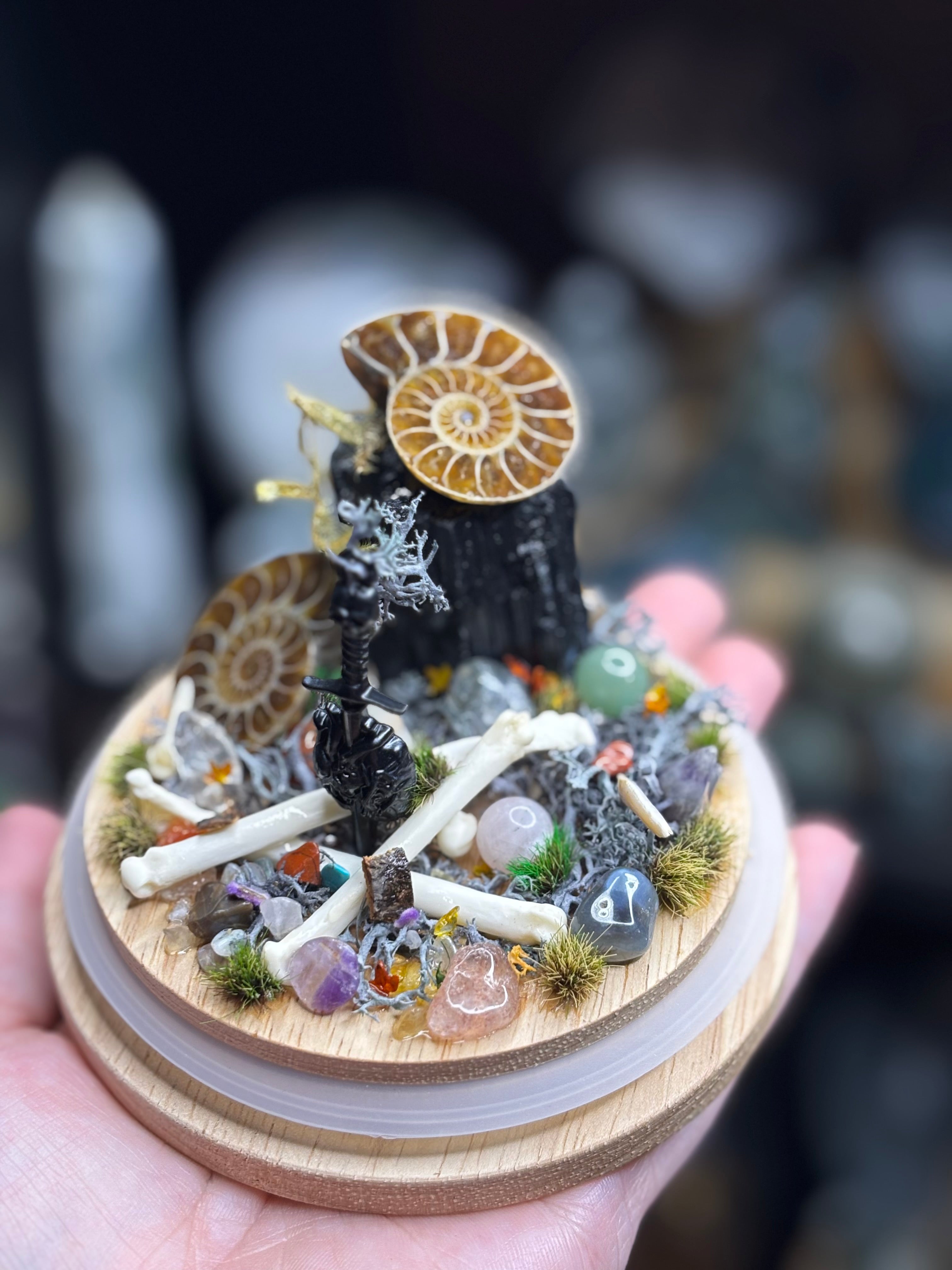Ancient Debris Curio Dome