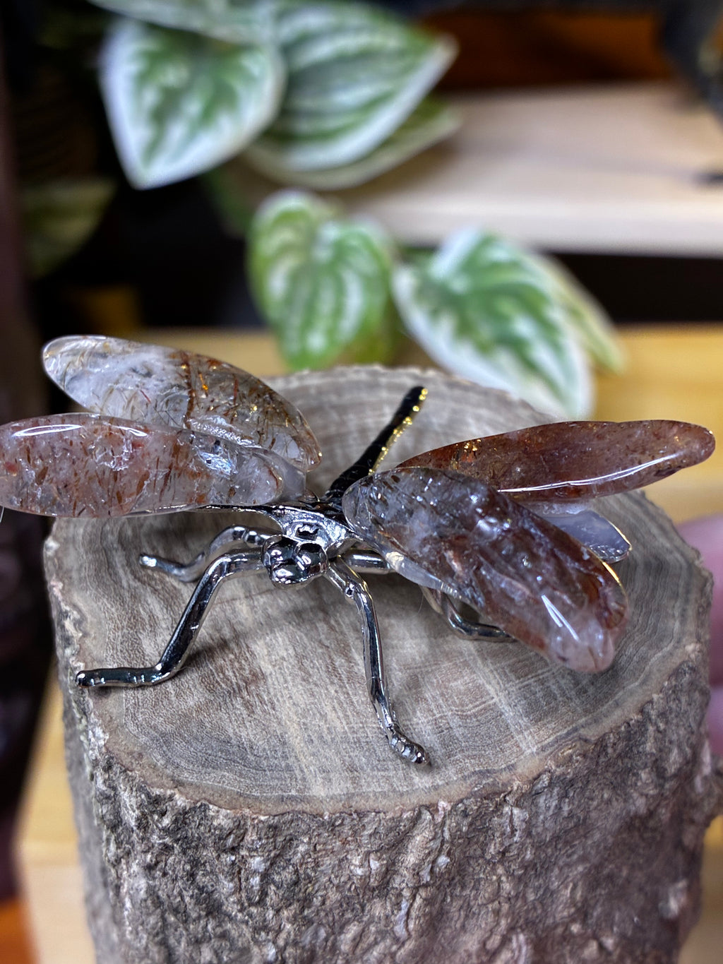 Copper Rutile Dragonfly 2
