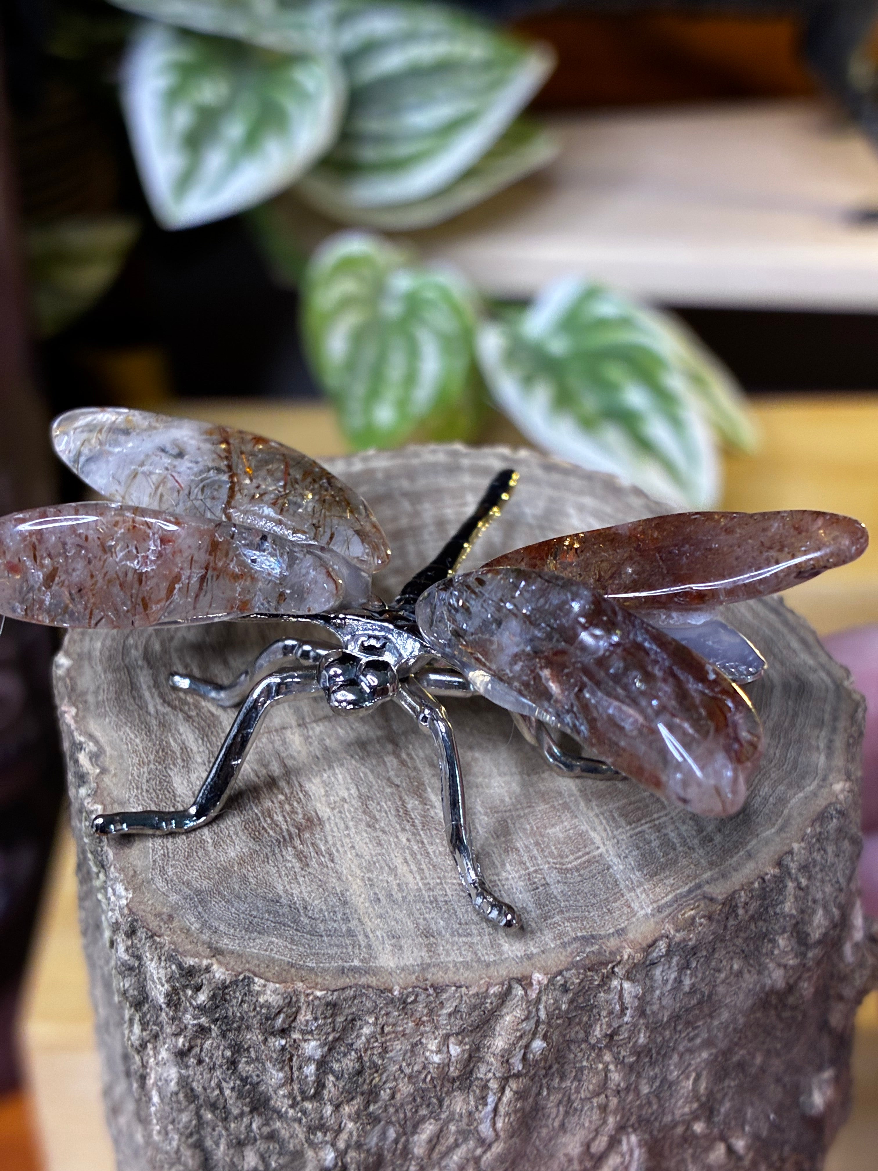 Copper Rutile Dragonfly 2