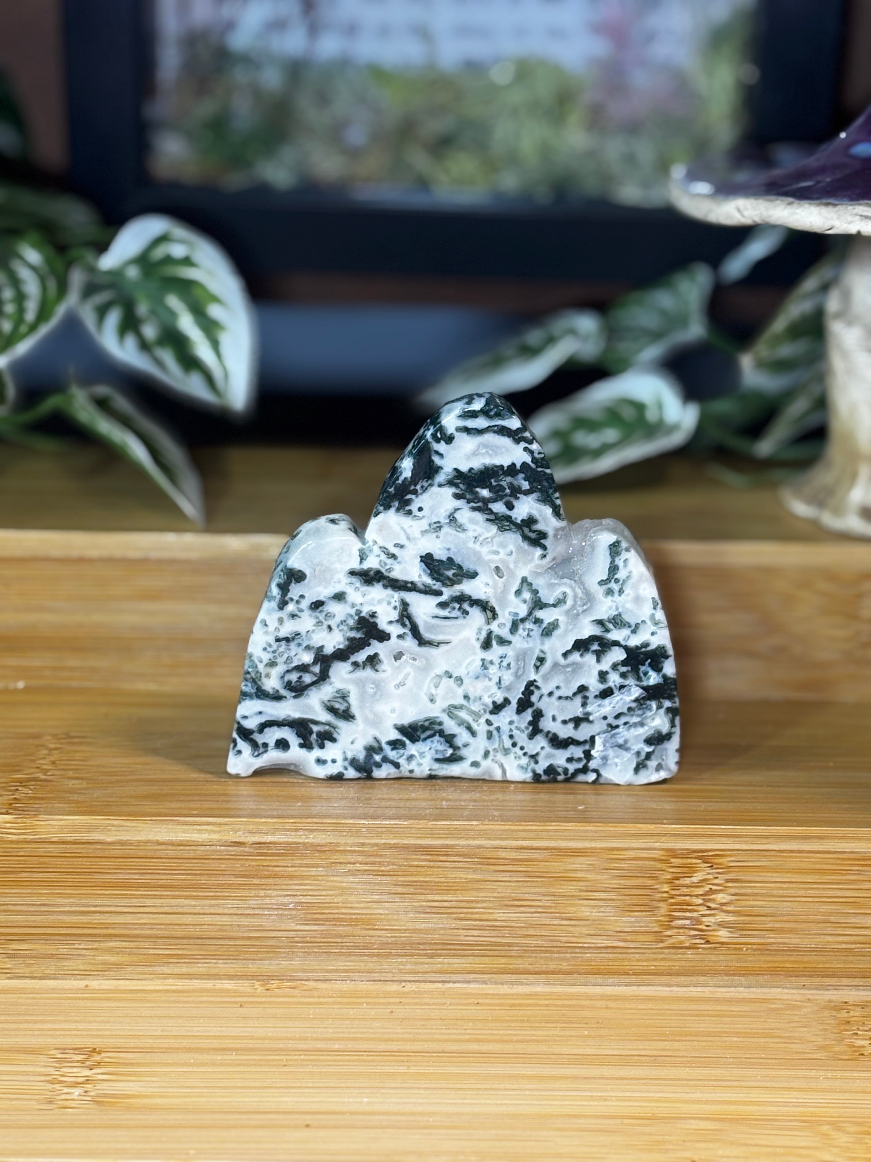 Tree Agate Freeform