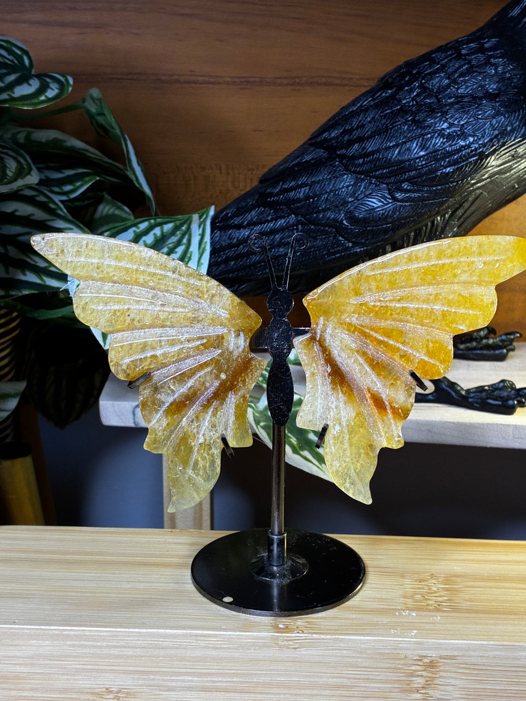 Golden Healer Butterfly