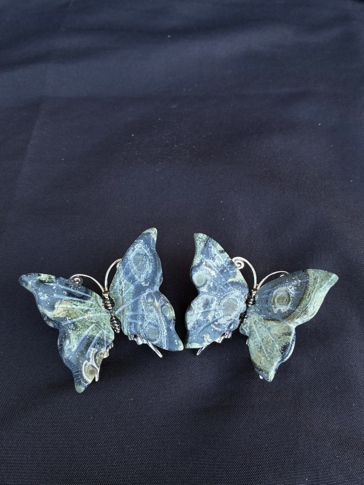 Kambaba Butterfly