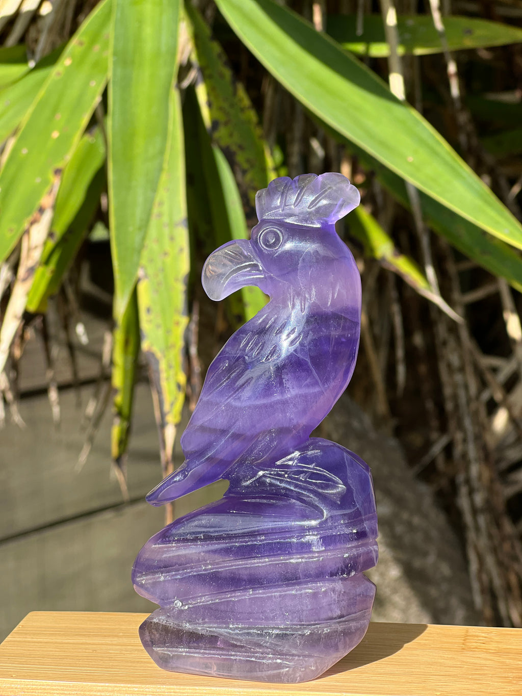 Purple Fluorite Parrot