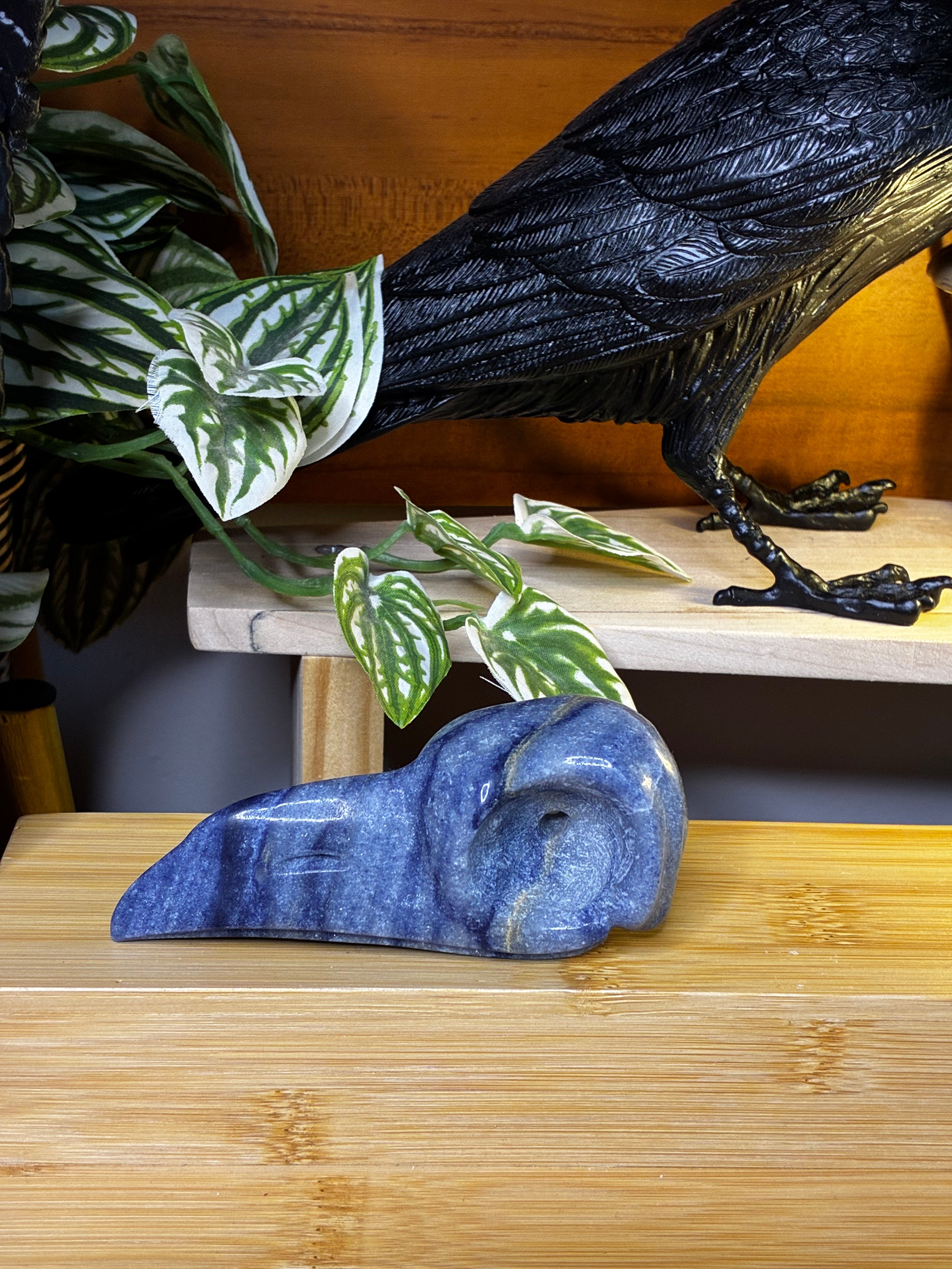 Blue Aventurine Raven Skull