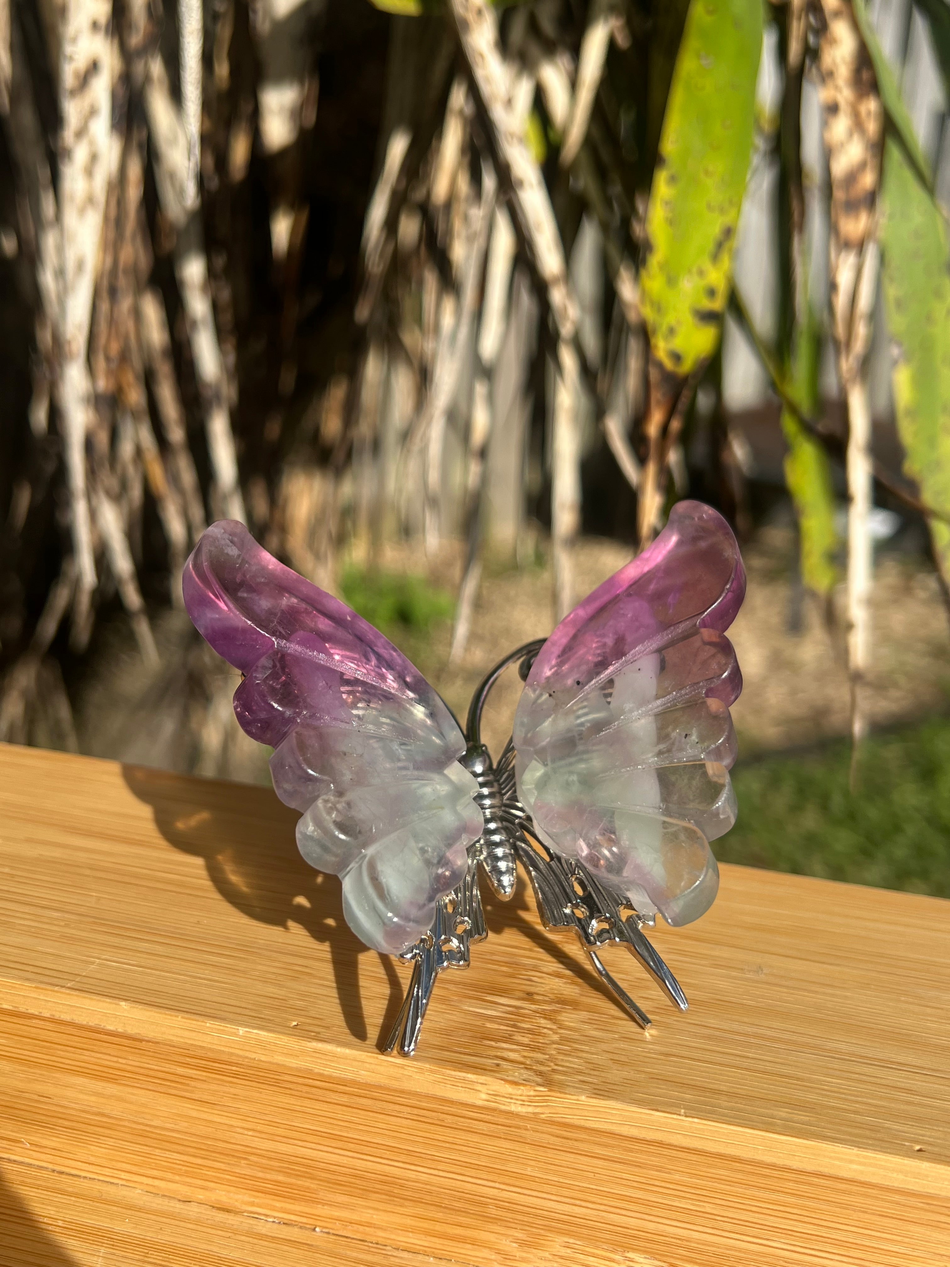 Fluorite Butterfly 3