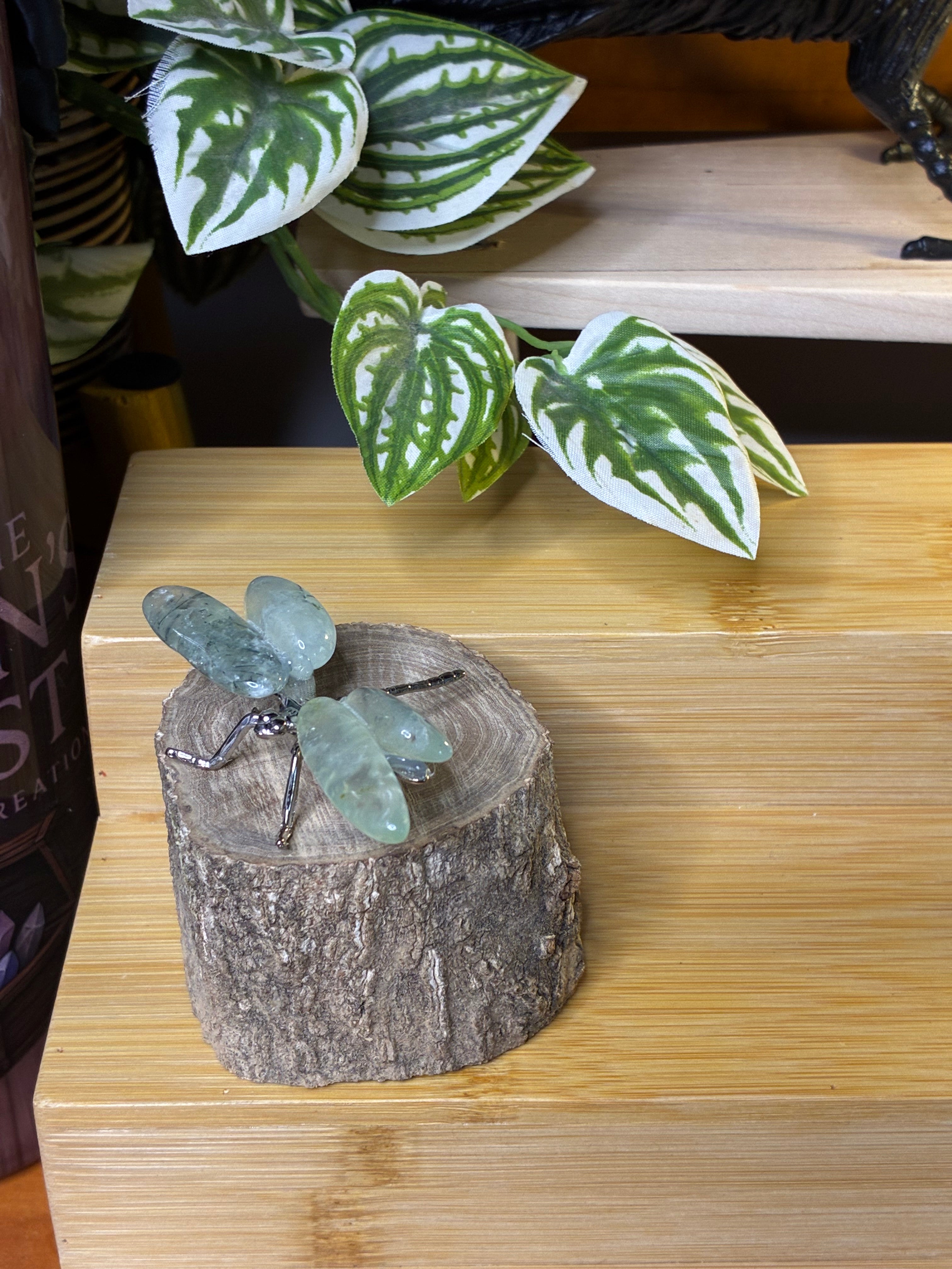 Prehnite Dragonfly 2
