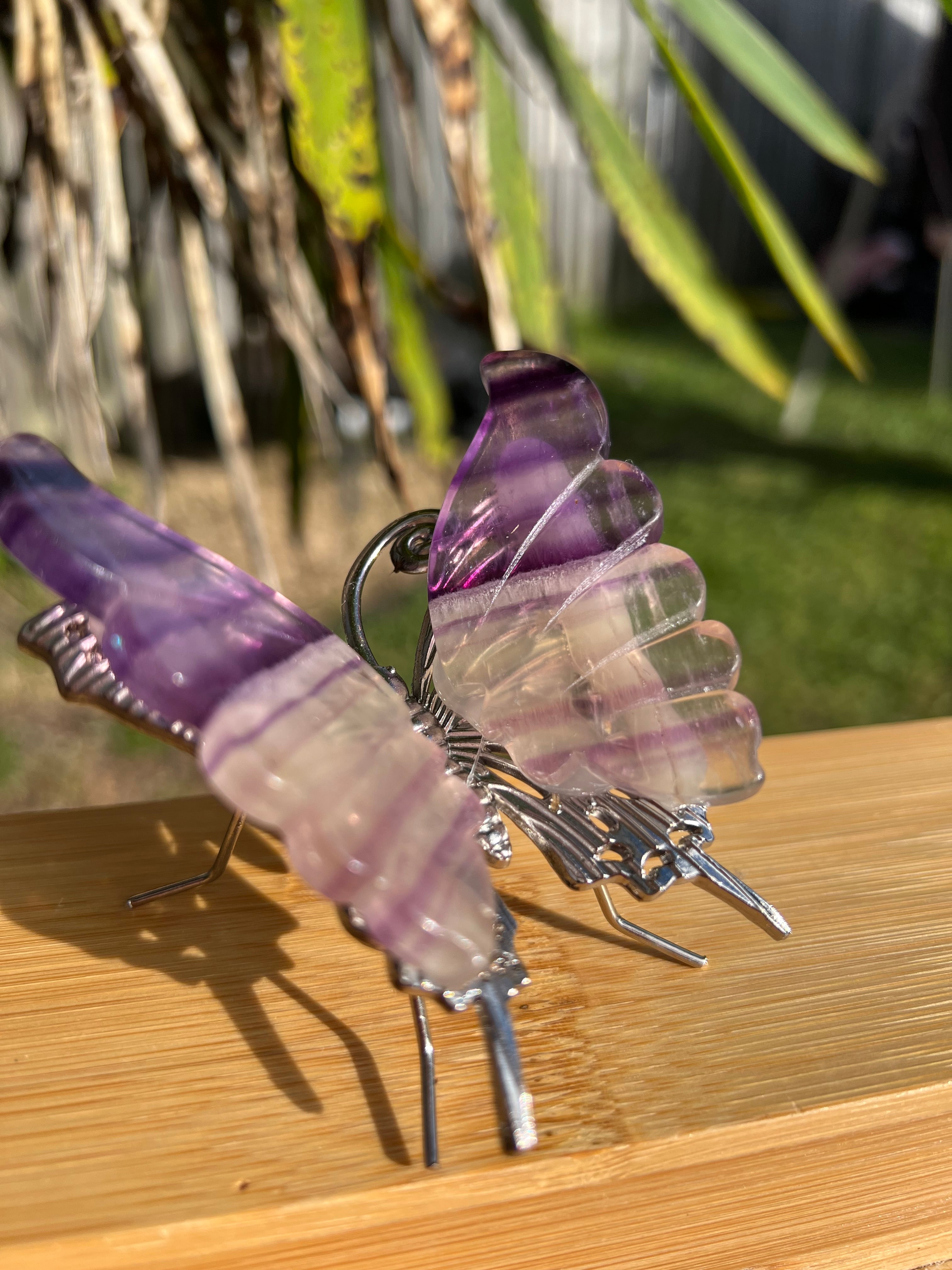 Fluorite Butterfly 2