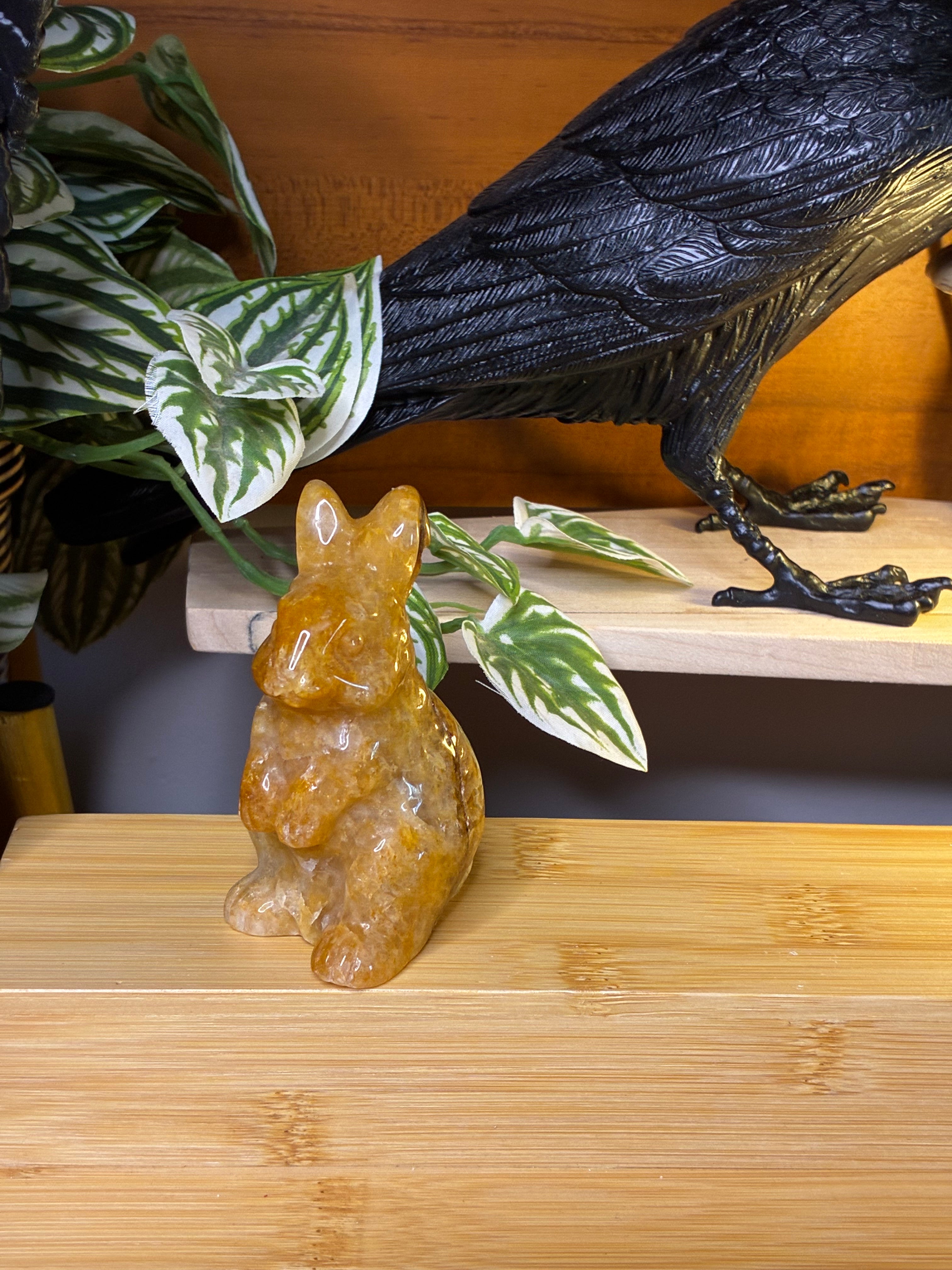 Golden Healer Bunny