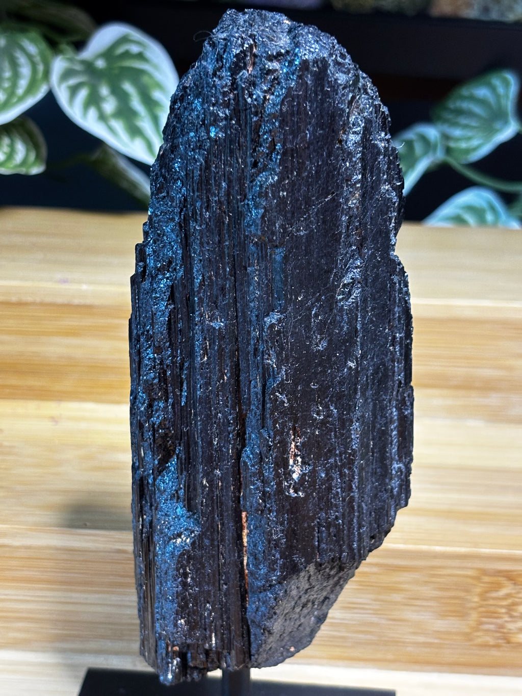 Black Tourmaline on Stand