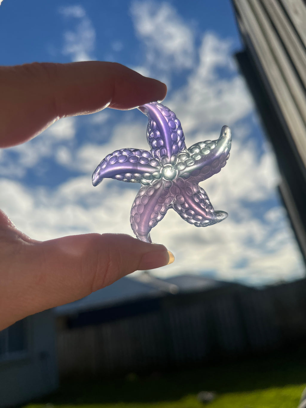 Fluorite Starfish 1