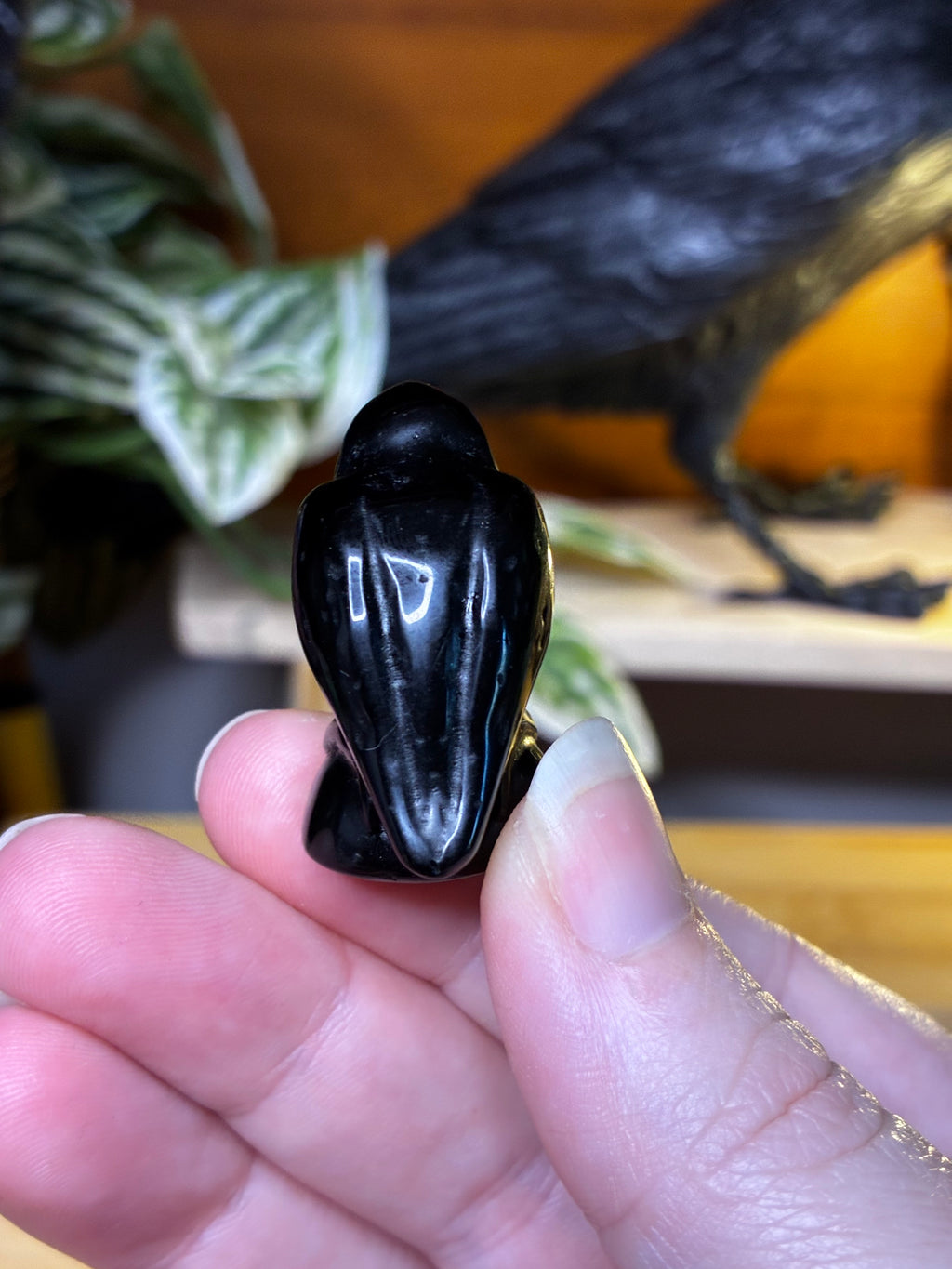 Black Obsidian Raven