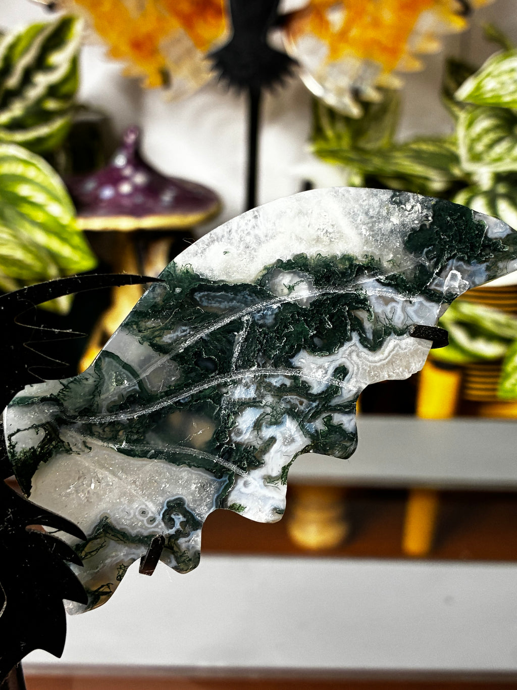 Moss Agate Dragon Wing Set on Stand