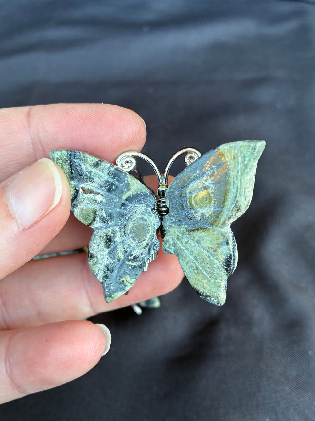 Kambaba Butterfly