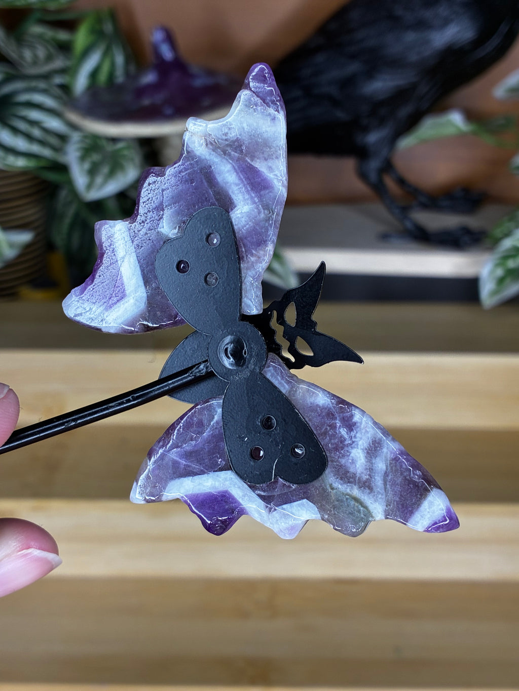 Dream Amethyst Bat Wings