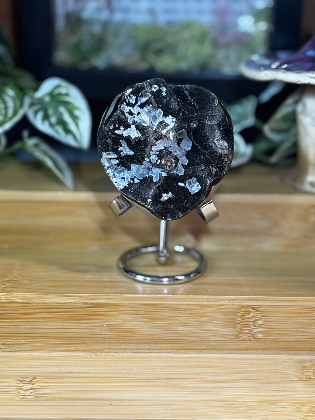 Septarian Egg w/calcite