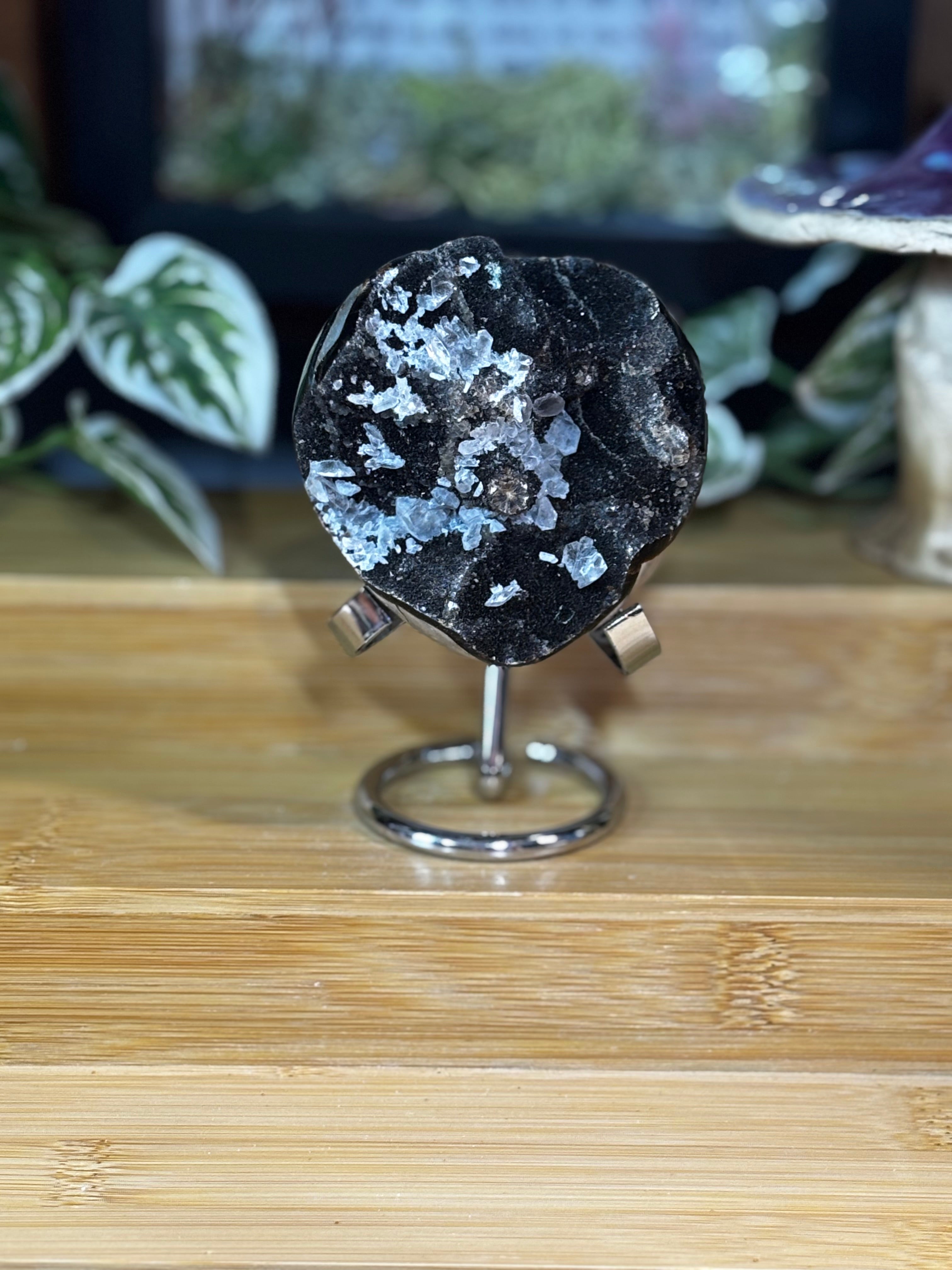 Septarian Egg w/calcite