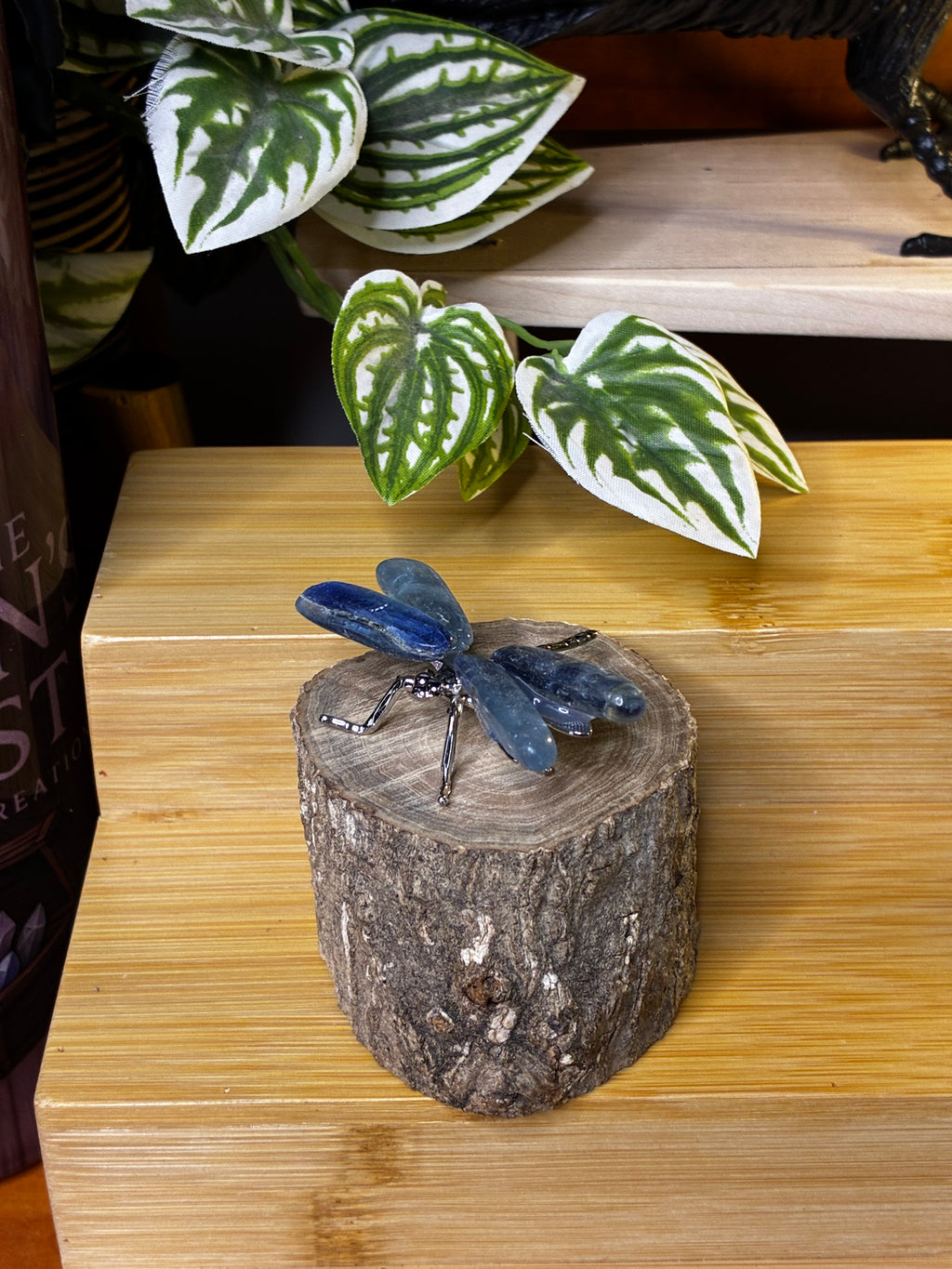 Kyanite Dragonfly