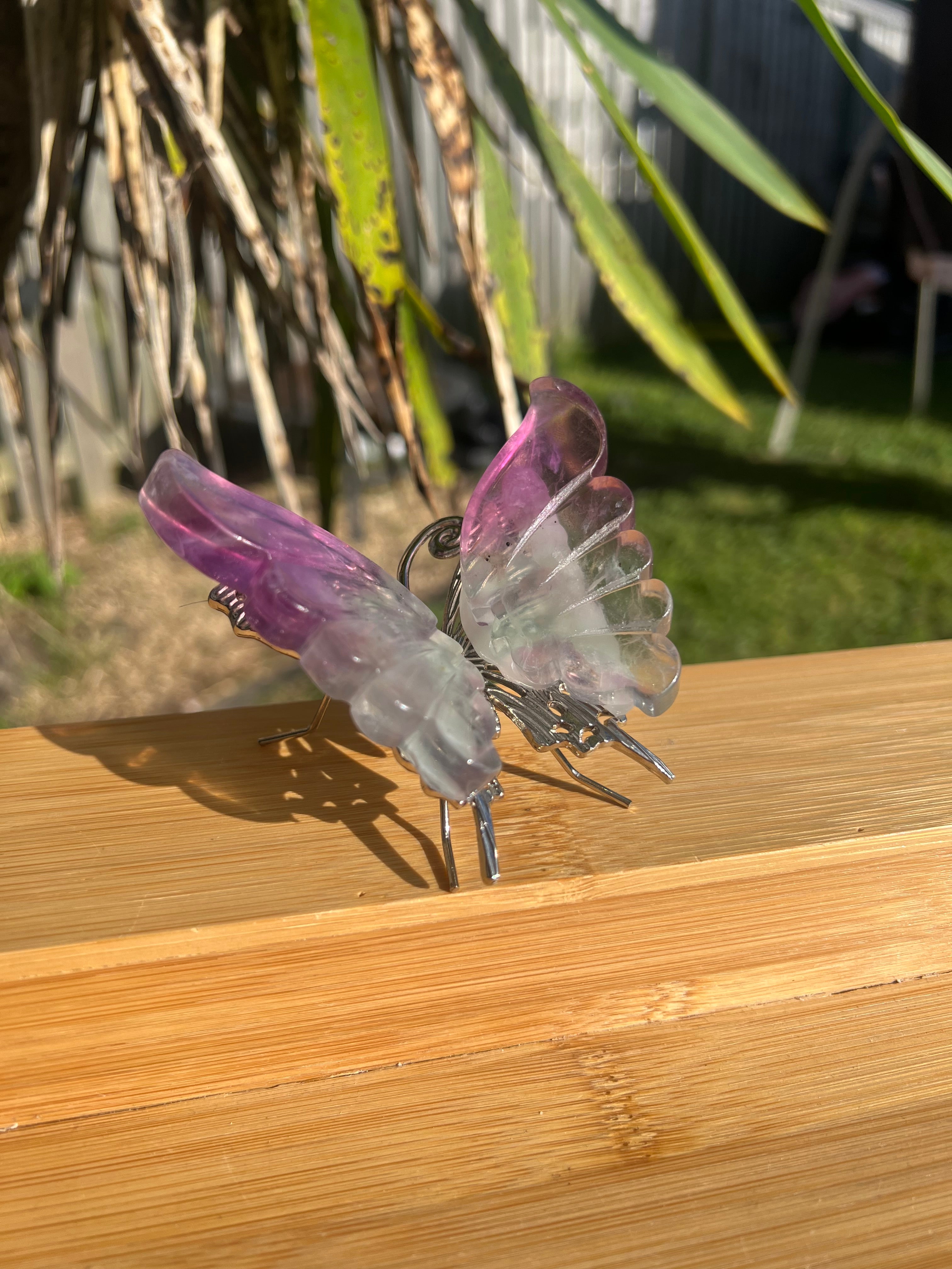 Fluorite Butterfly 3