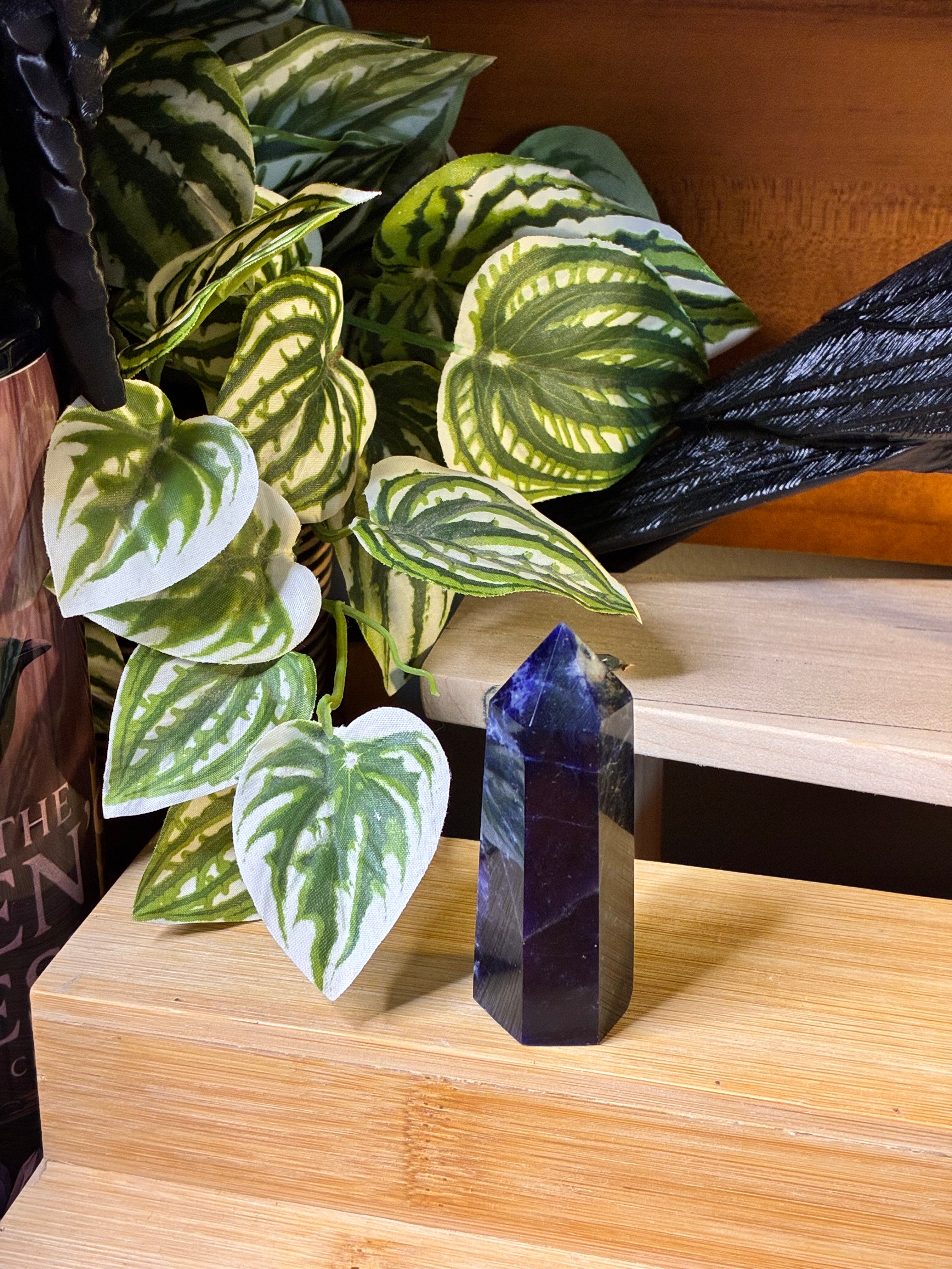 Dark Sodalite Point