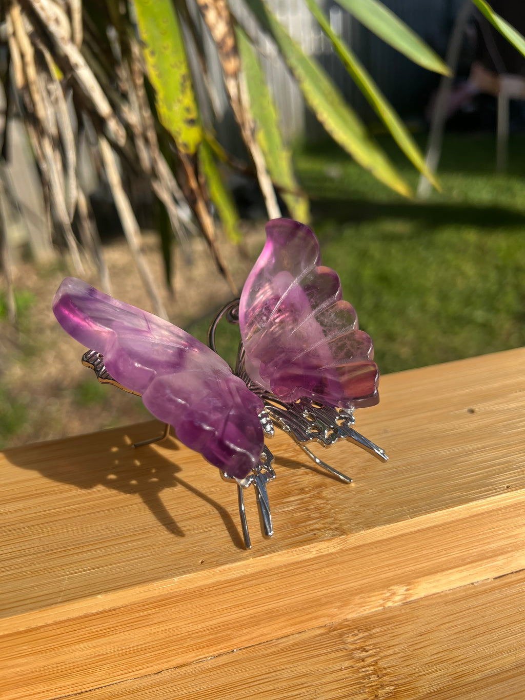 Fluorite Butterfly 4