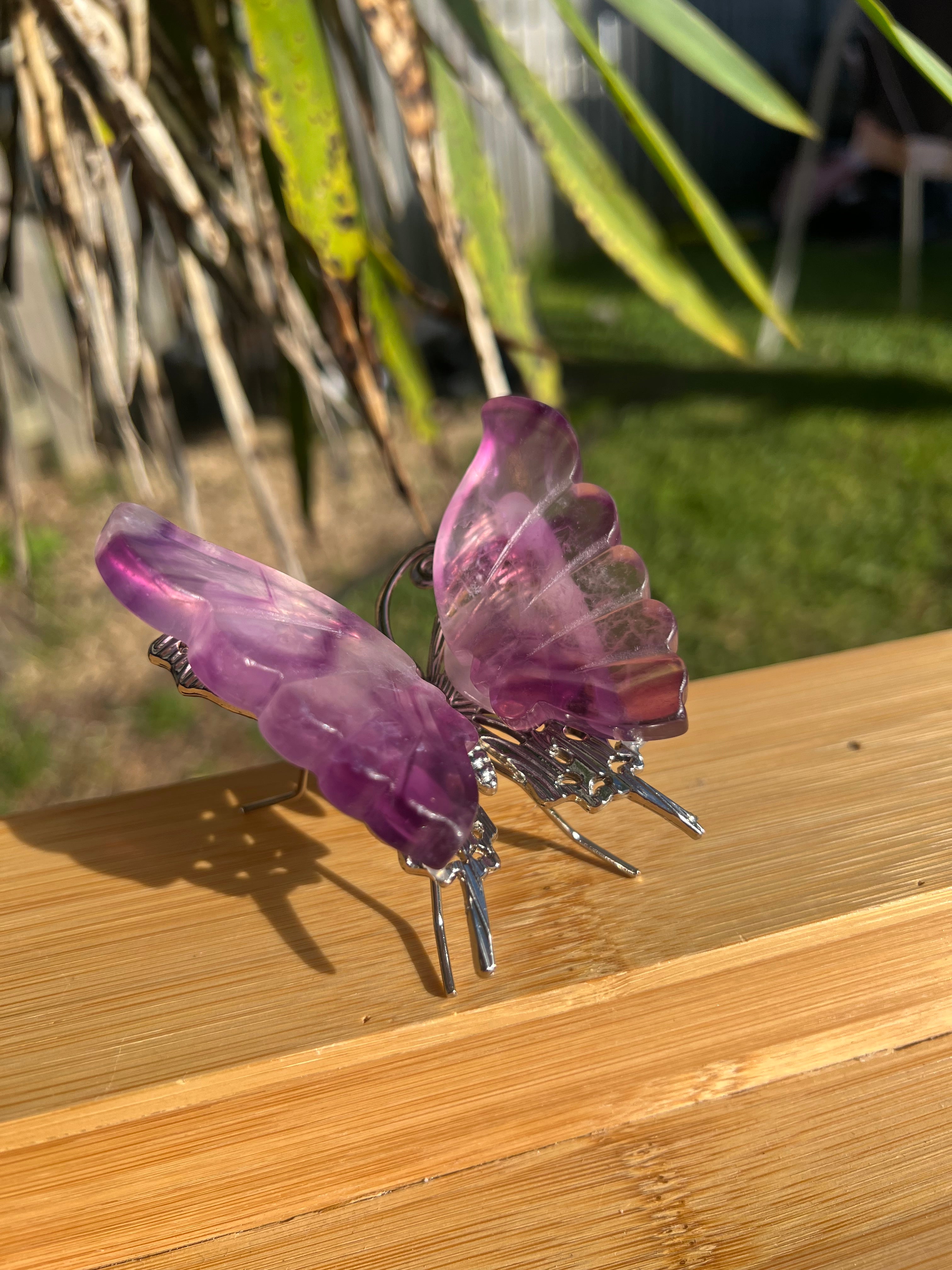 Fluorite Butterfly 4
